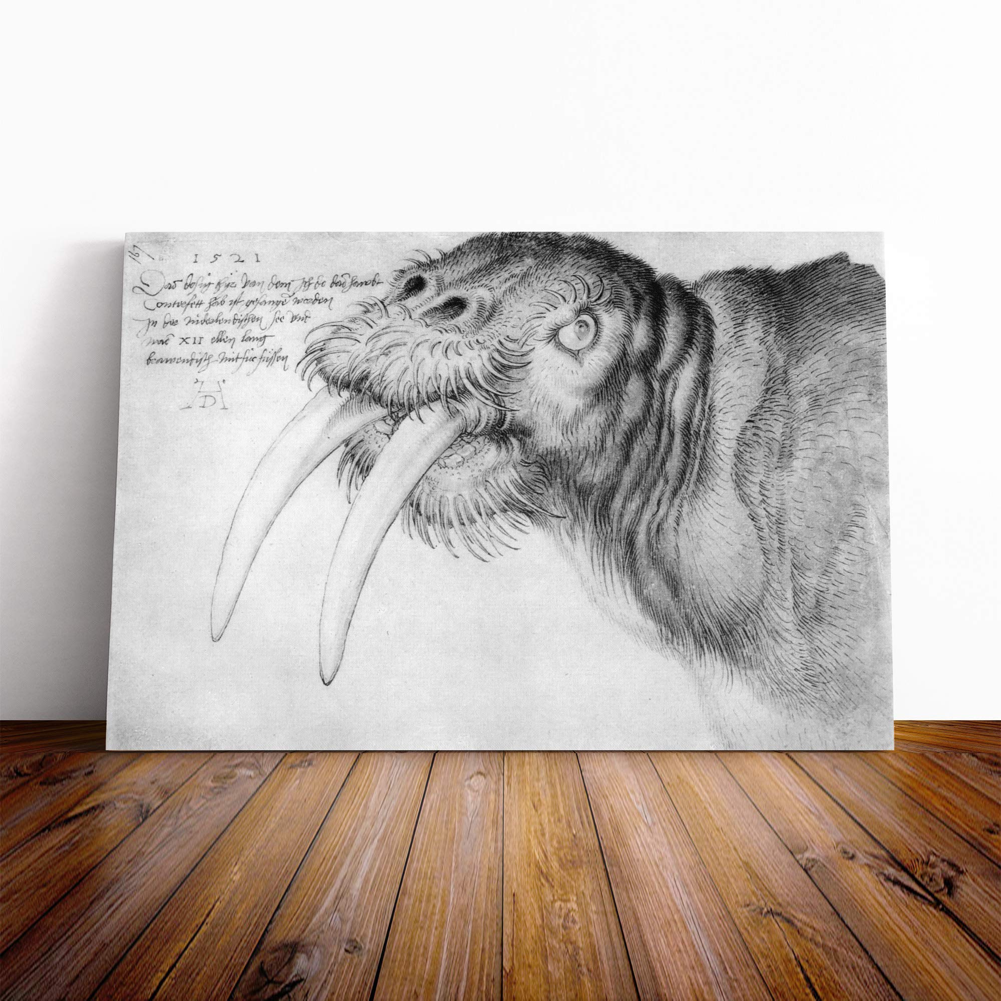 Albrecht Durer Head of a Walrus Canvas Print | Gallery Wrapped 30mm Frame Wall Art | 30x20 inches | Ready to Hang | Modern Picture | Living Room Bedroom Lounge Office