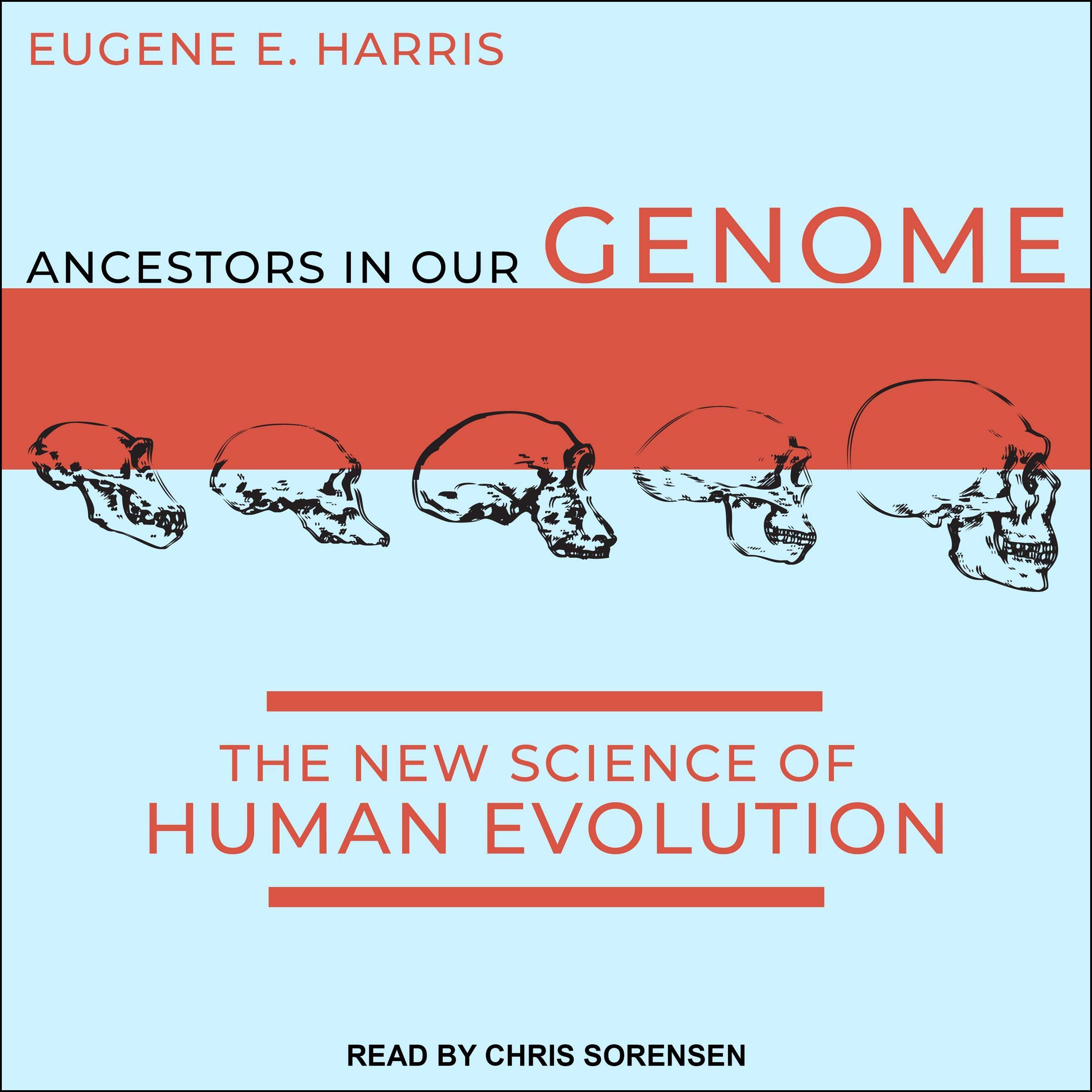 Cover art for Ancestors in Our Genome
