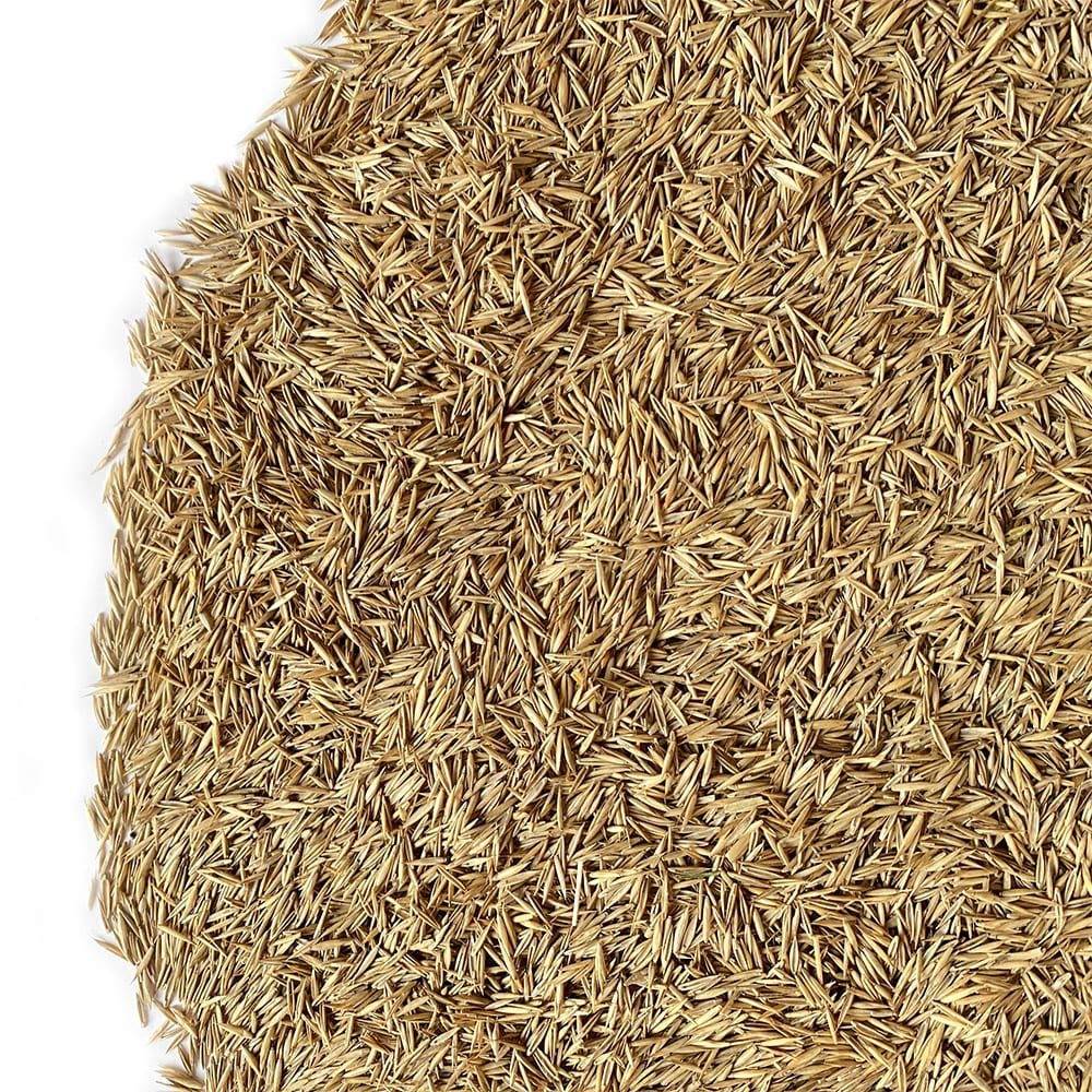 Il Contadino - Antiche Sementi | FESTUCA RUBRA RUBRA | Tappeto molto prestigioso, denso e a foglia fine, Colore verde medio, Abbastanza resistente alla siccità e al caldo (5 Kg)