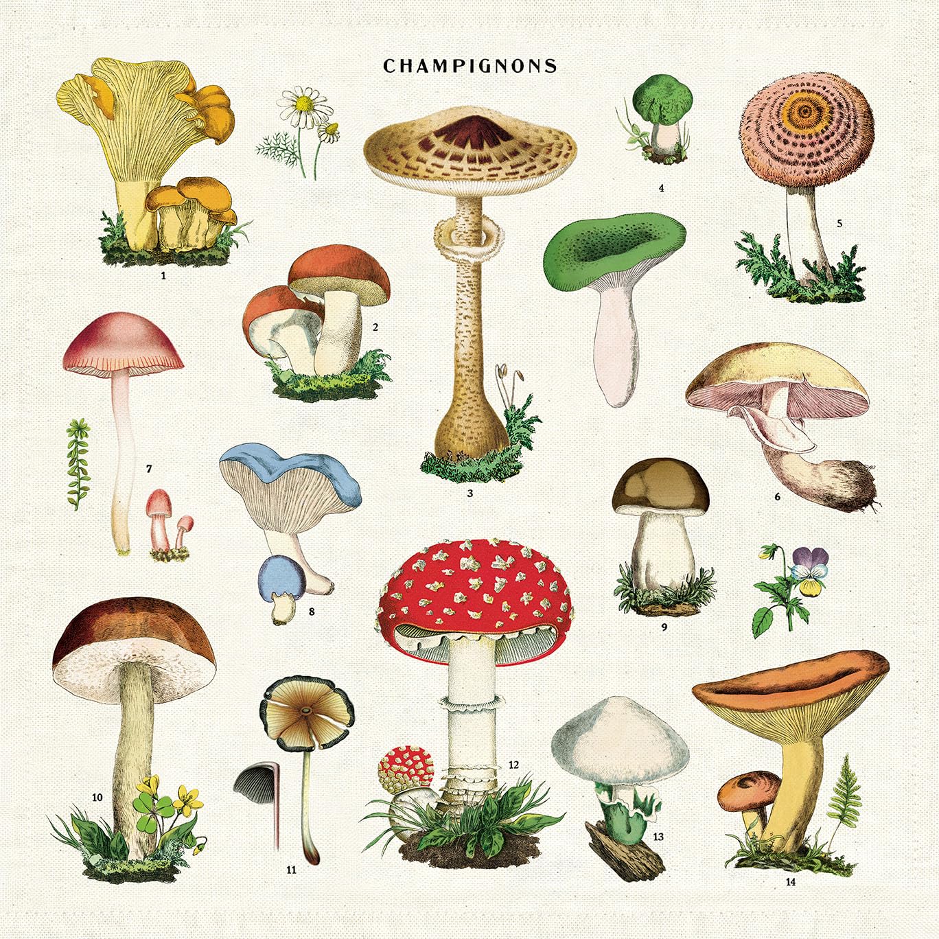 Serviettes en tissu Cavallini champignons lavables pour décoration de table automnale