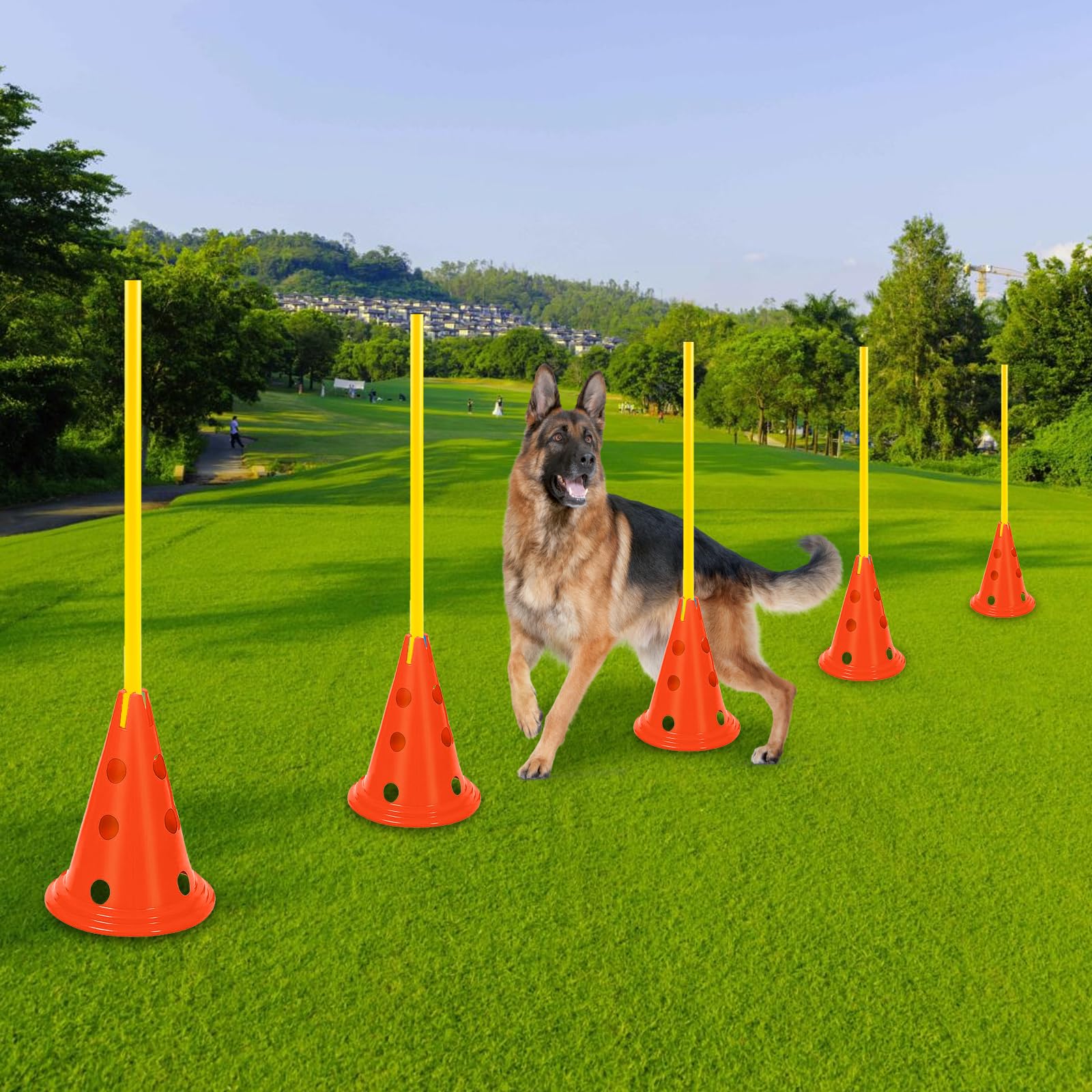 AEDNX Agility-Hürden-Kegel-Set für Hunde, Agility-Kurs, Hinterhof-Set mit 12 Agility-Kegeln, 6 Agility-Ruten, Agility-Trainingsausrüstung, höhenverstellbares Hindernis mit Aufbewahrungstasche