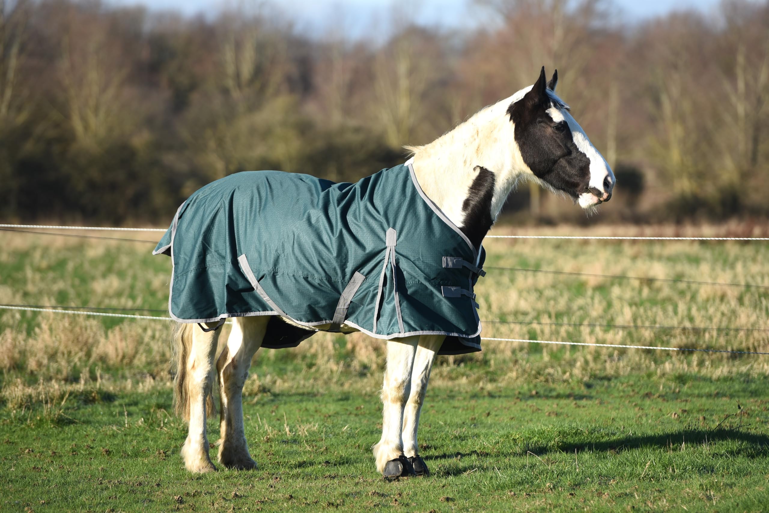 Lightweight No Fill Turnout Horse Rug Horse Turnout Rug 0g Fill 600d Lightweight No Fill Turnout Horse Rugs | Standard Neck Horse Rain Sheet (6'6'')