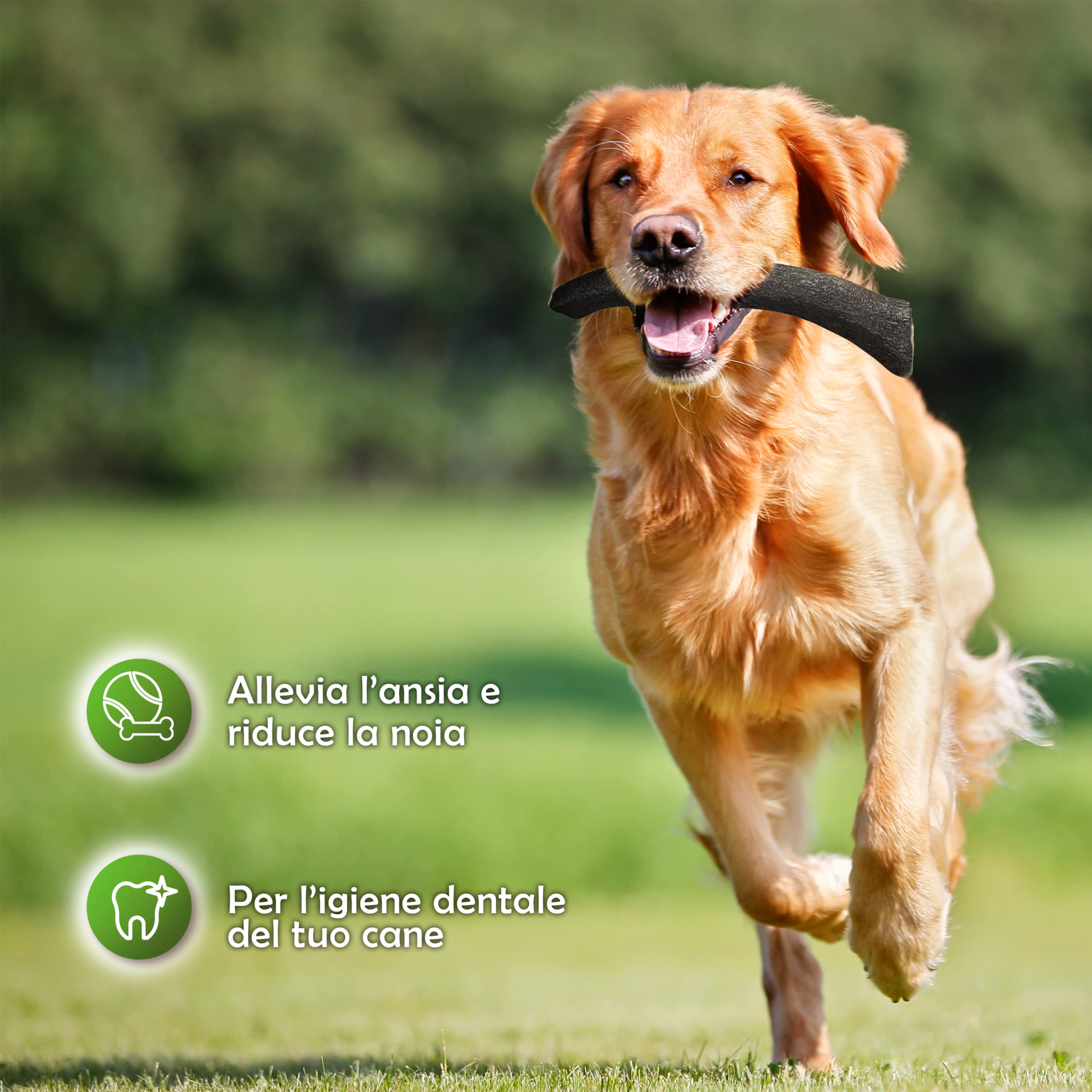 ZOMAPET Corno di Cervo per Cani 100% Naturale Osso da Masticare (S)