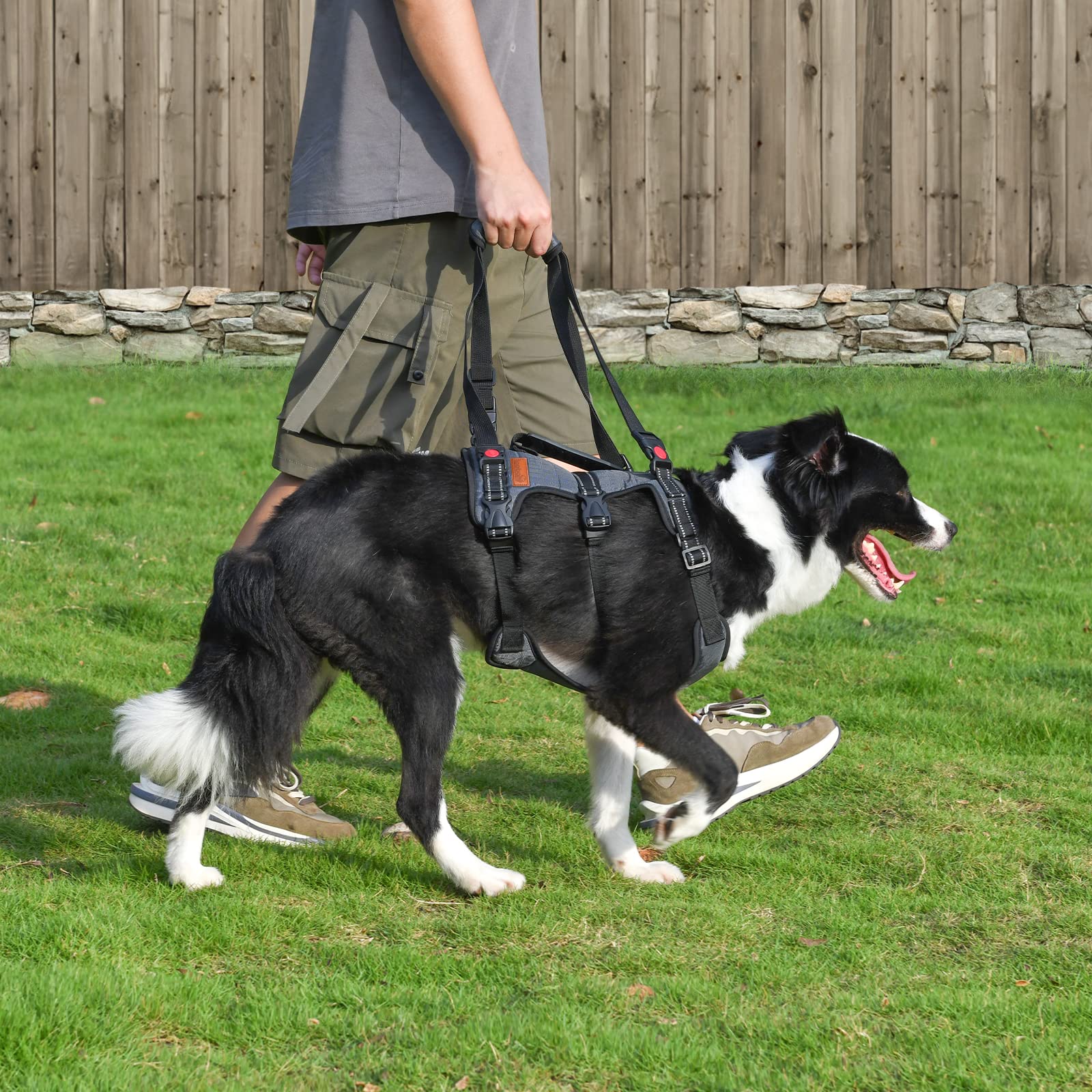 Doggie Stylz Hundegeschirr Für Große Hunde - Ganzkörper-Stütze Mit Tragegriffen, Ideal Bei Arthritis & Rehabilitation