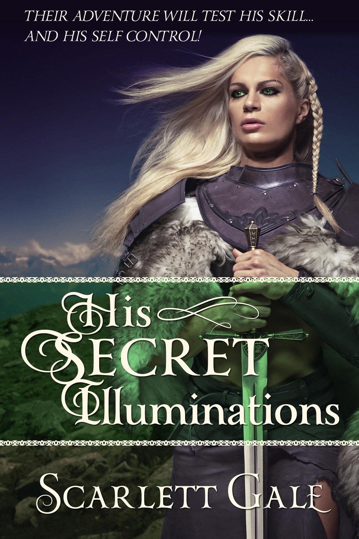 His Secret Illuminations (The Warrior's Guild Book 1)