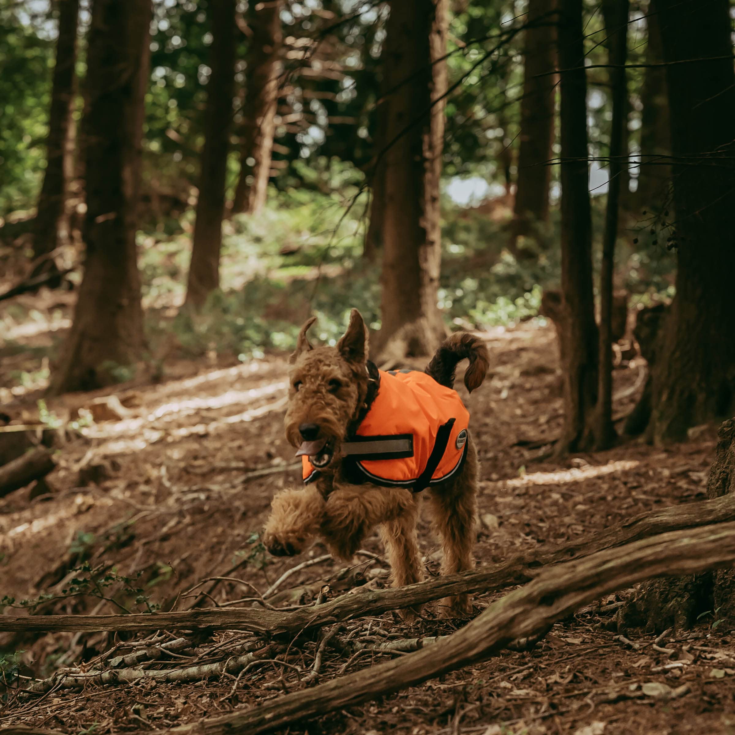 WeatherBeeta ComFiTec Reflective Parka 300D Dog Coat, Orange, 30cm - Image 3