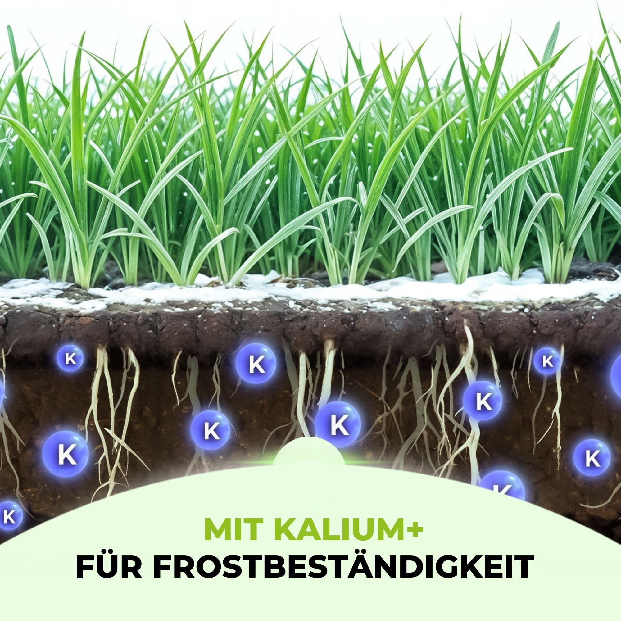 TerraUno Premium Herbstdünger Rasen, gesunder Rasen verdrängt Moos & Unkraut, Rasendünger Herbst mit 60 Tage Langzeitwirkung, 20 kg für 1000 m², Herbstrasendünger, Sofortwirkung, extra starkes Grün