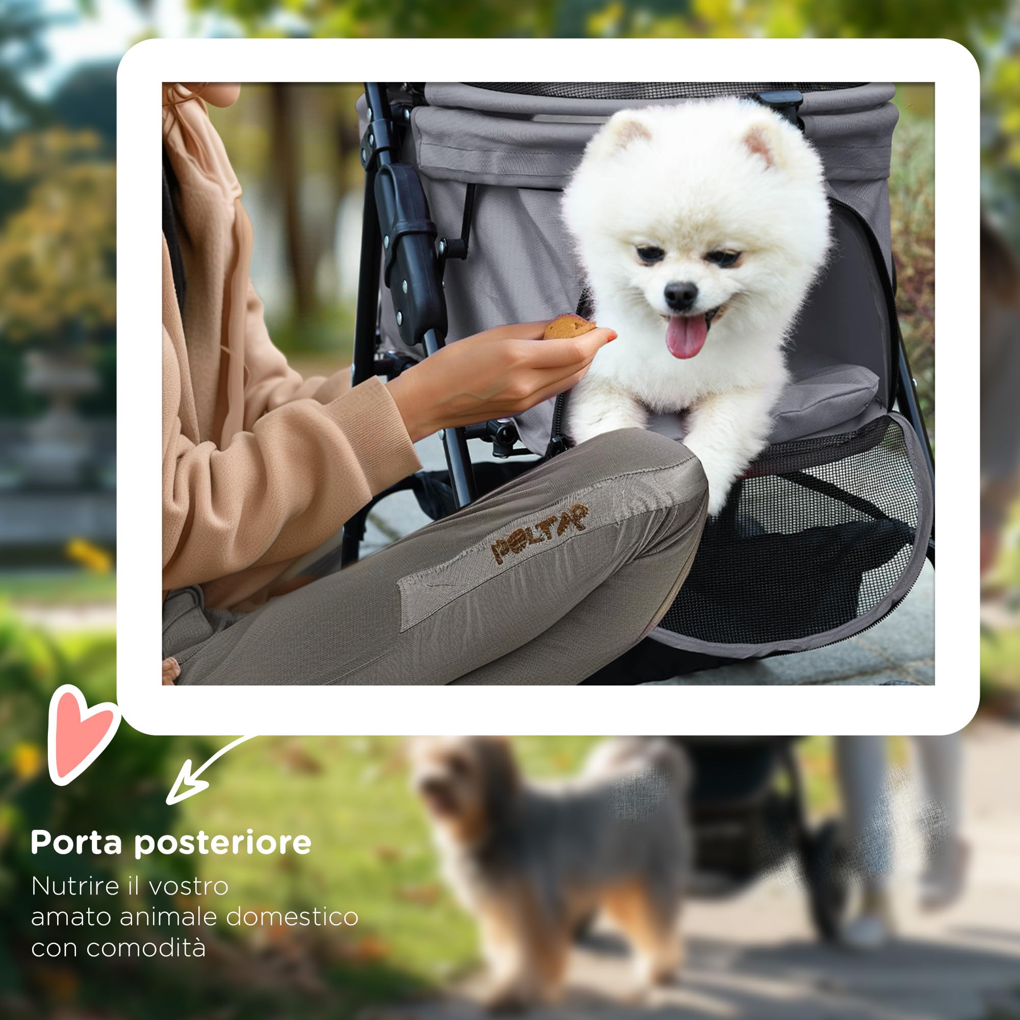 PawHut Passeggino per Cani Piccoli Pieghevole, Passeggino Leggero per Animali con Ruote Girevoli, Guinzaglio di Sicurezza e Cestino Portaoggetti, 67x45x96cm, Grigio