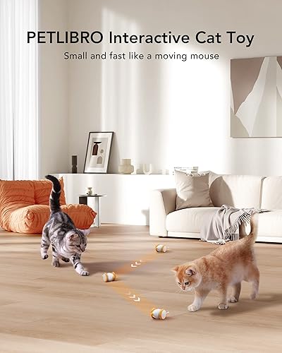 Miniatura 3 de PETLIBRO Juguetes interactivos para gatos de interior, juguete automático para gatos con luces LED, juguetes de ratón para gatos, juguetes