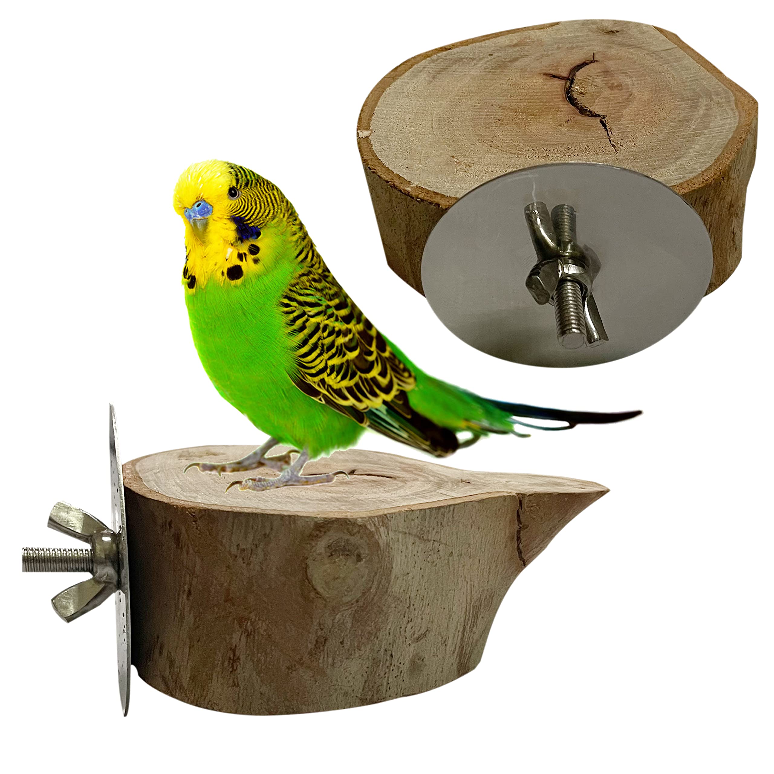 Congo Eucalyptus Pack of 2 Chewable Platform for Siting and Playing for Parakeet, Budgies, Lovebirds, Cockatiels, Conure and Other Birds (B0BHQFTBT7) Amazon Price History, Amazon Price Tracker