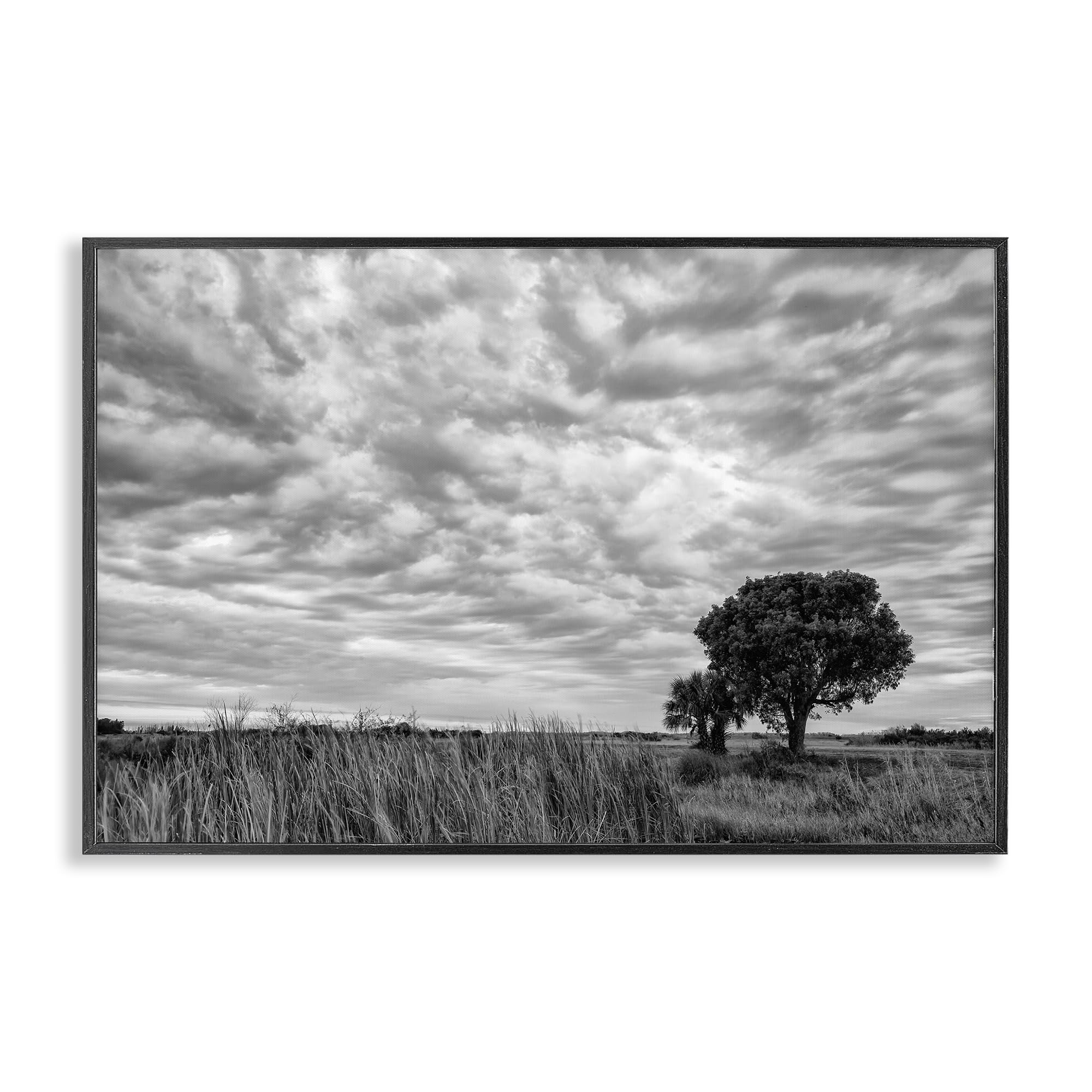Stupell Industries Solitary Tree Beneath Clouds, Greyscale Landscape Wall Art for Living Room, Tranquil Nature Decor, 12 x 18 Inch Framed Giclée Print, by Jon Evan, Made in USA Gift