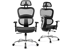 Ergonomic High Back Office Chair for 300 lbs