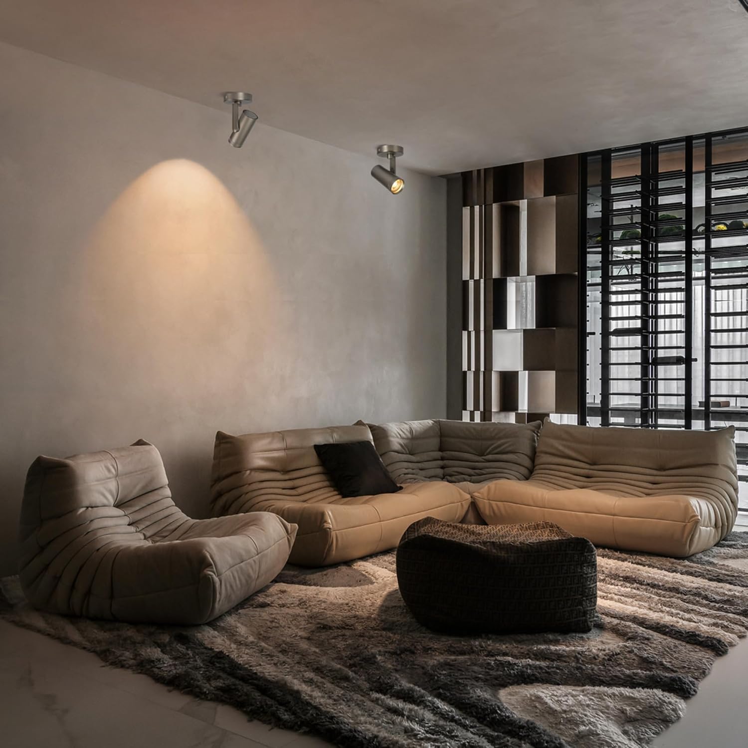 Dimmable Zoomable Spot Lights Indoor Spotlight, 12W Adjustable Angle Ceiling Spotlights for Wall Art Corridor Living Room, Accent Lighting Brushed Nickel Finish - Warm White