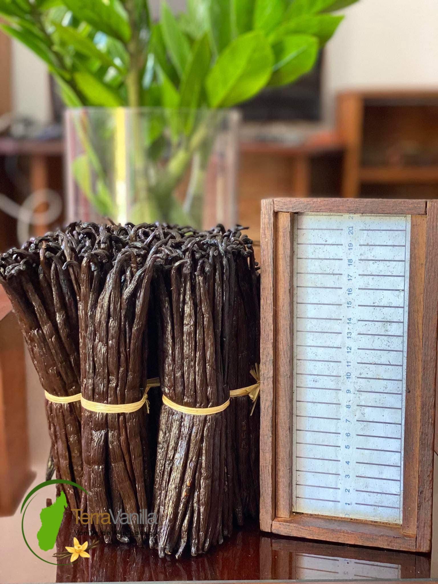 TerraVanilla Vanille de Madagascar Bourbon - Gourmet, 17-19 cm | 500 g