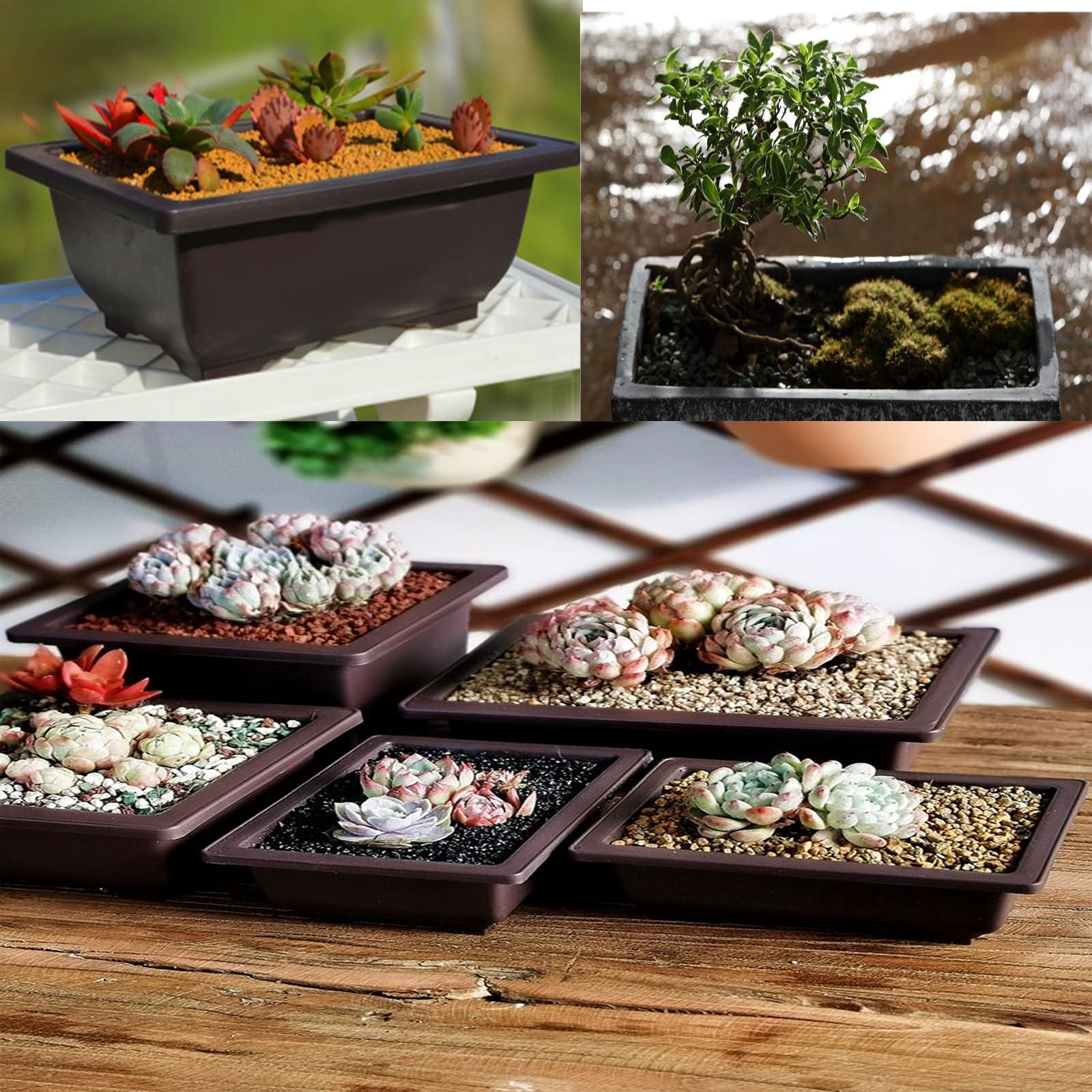 3 Vasi Rettangolari Per Piante Con Vassoio – Plastica Marrone, Con Fori Di Drenaggio, Per Bonsai, Succulente E Cactus, 16,3x12x6cm - 2