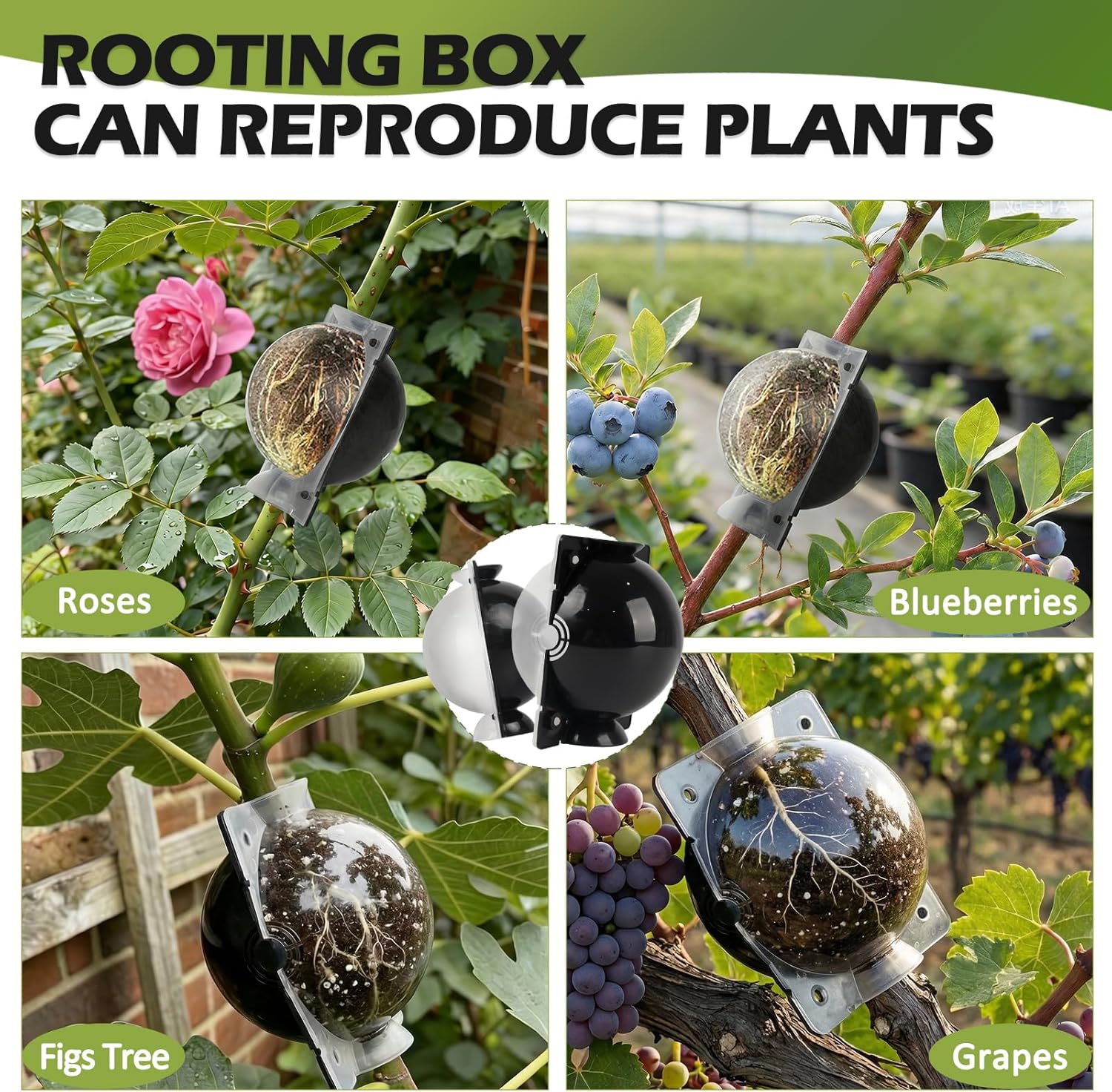 Tree Root Growing Box, Air Layering Pods Propagation Kit, Reusable Half Transparent Plants Asexual Reproduction Grafting Ball for Fast Propagation Plants (6pcs Meidum + 6pcs Large)