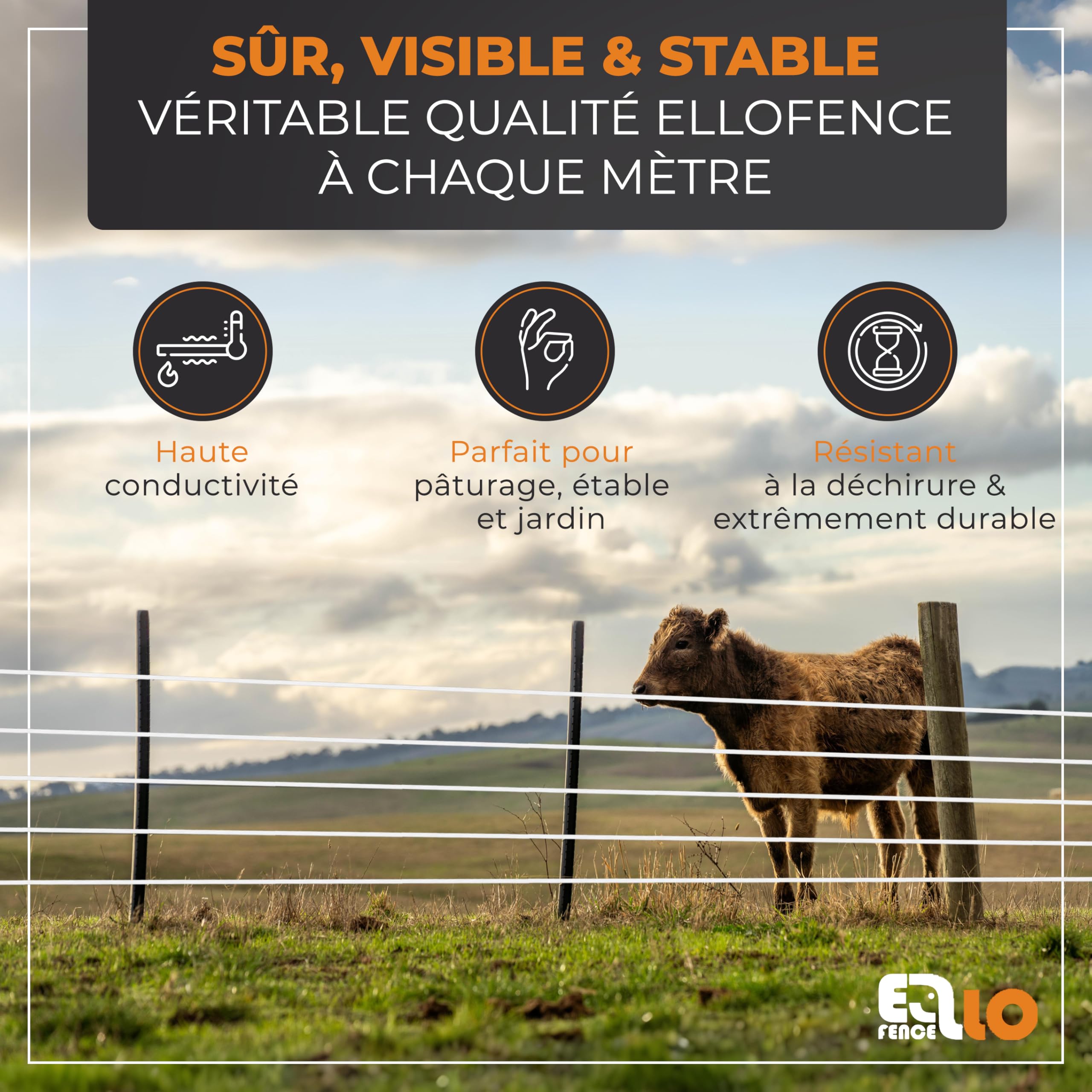 Ruban clôture électrique 20mm x 200m – Ruban conducteur robuste et résistant UV – Accessoire fiable pour pâturage et enclos animaux