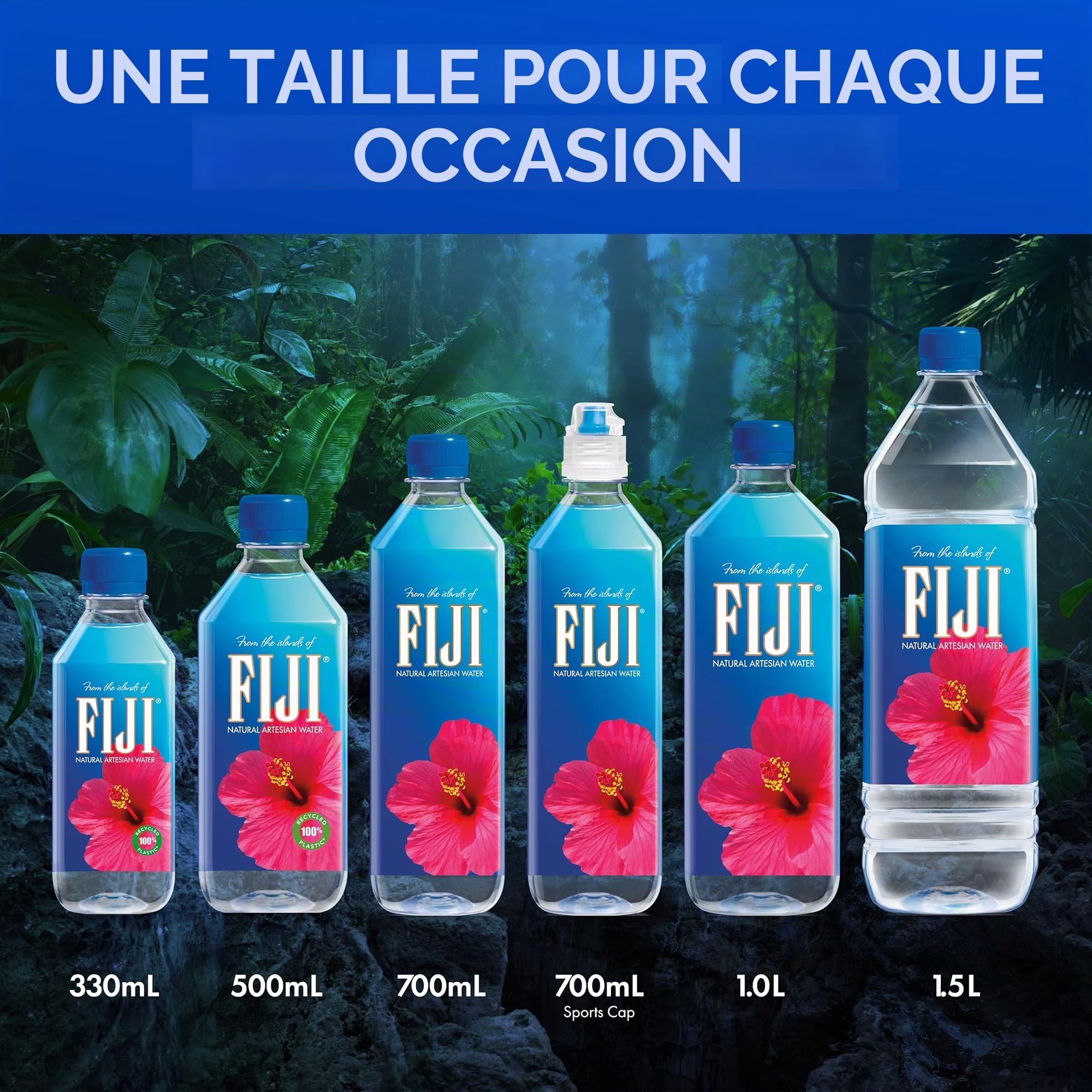 Fiji Eau Minérale Plate des Iles Fidji 24 x 50 cl