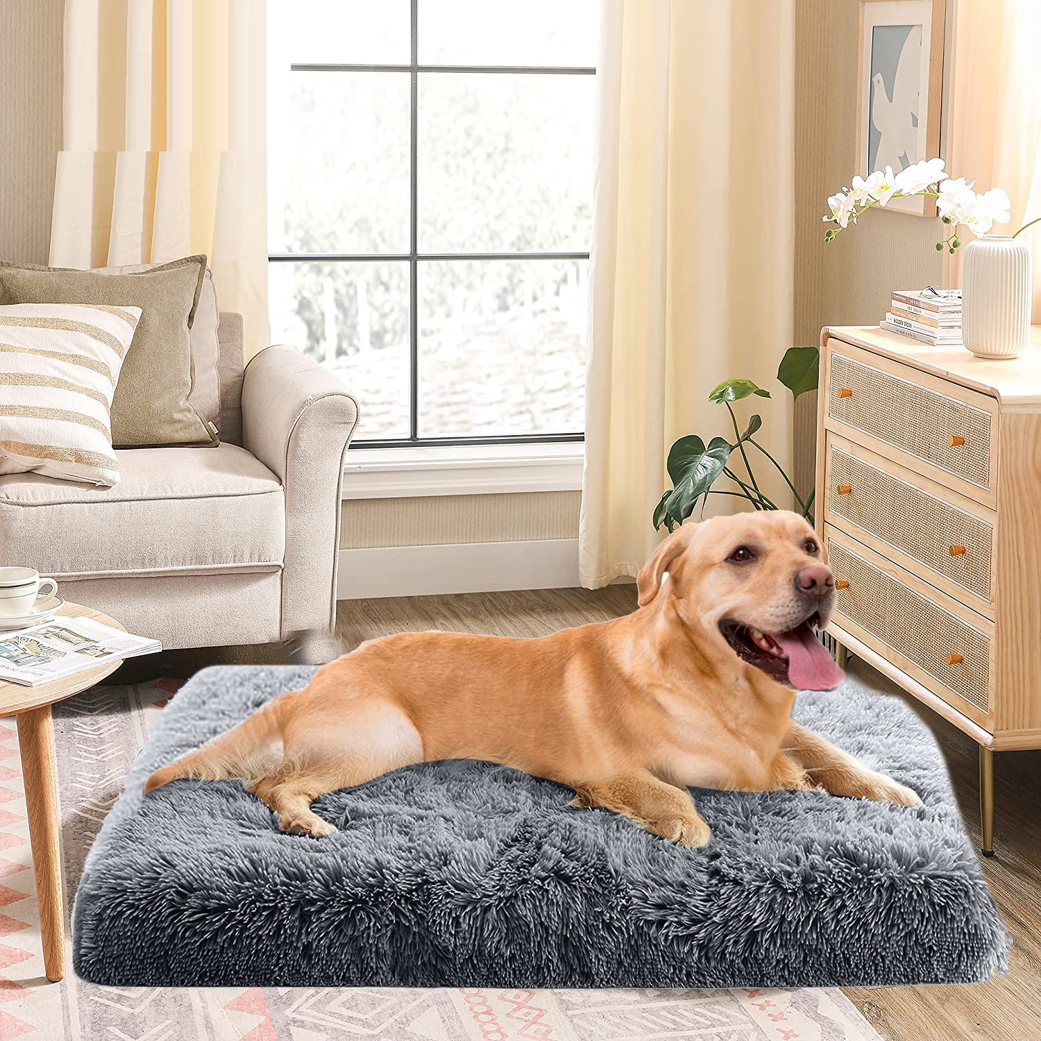 PETCUTE Materassino Cane,Letto per Cani con Rivestimento Sfoderabile,Caldo Morbido Soffice Cuccia Cane per Grande Media Piccola Cani e Gatti, Lavabile Cuscino Antiscivolo Lettino per Animali Domestici