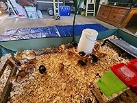 Review Image by Scrambled Acres