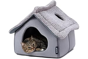 Spacious Cat Sanctuary: The Ultimate Retreat for Feline Companions