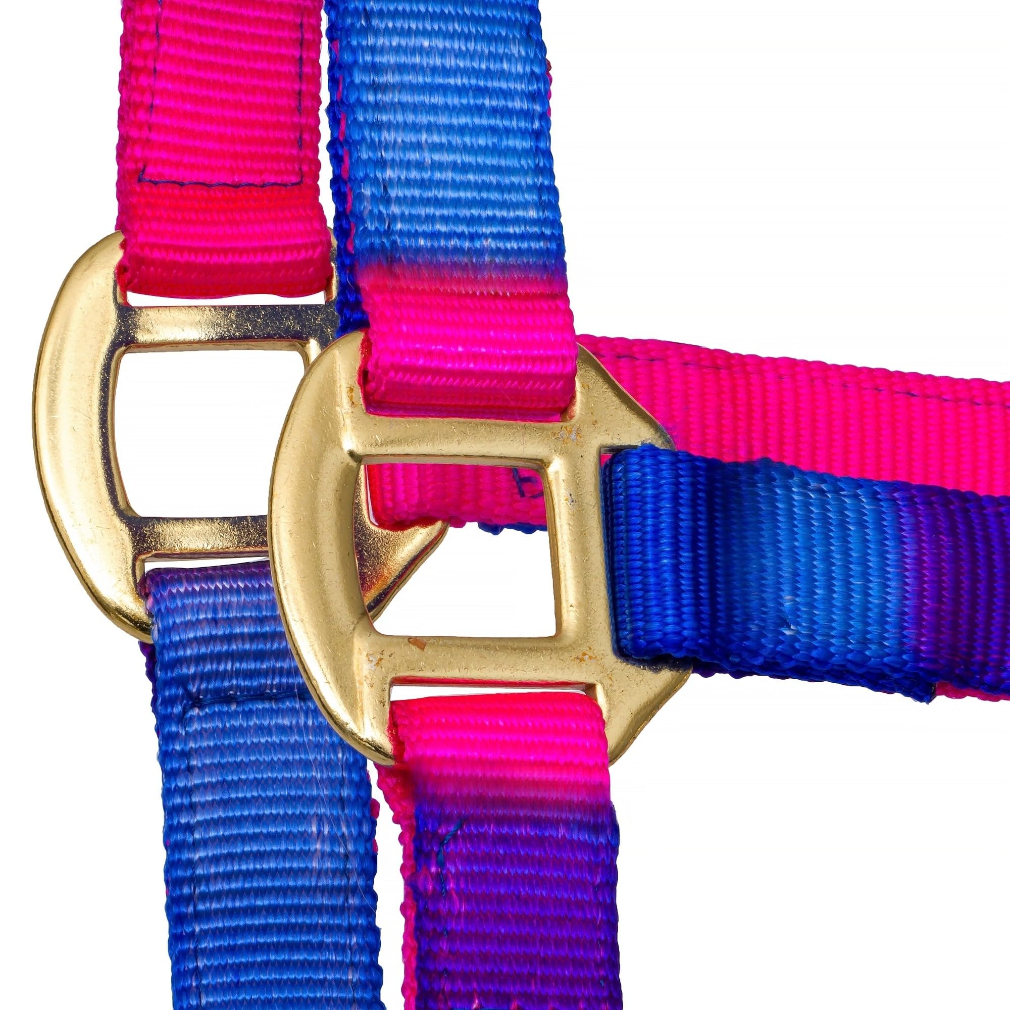 Start Halfter für Pferde – verstellbares Pferdehalfter mit Karabiner, strapazierfähig & komfortabel, Stallhalfter für Pony, Cob, Full (Warmblut) (Rosa/Violett/Blau, Cob (Vollblut))