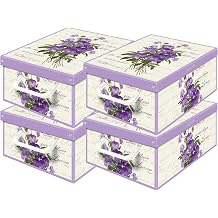 Set of 4 Storage Boxes with Lids - Large Cardboard Clothes Boxes 25 x 35 x 17.5 cm - Robust, Easy to Assemble, with Carry Handles - Perfect for Wardrobe & Season Change Violets
