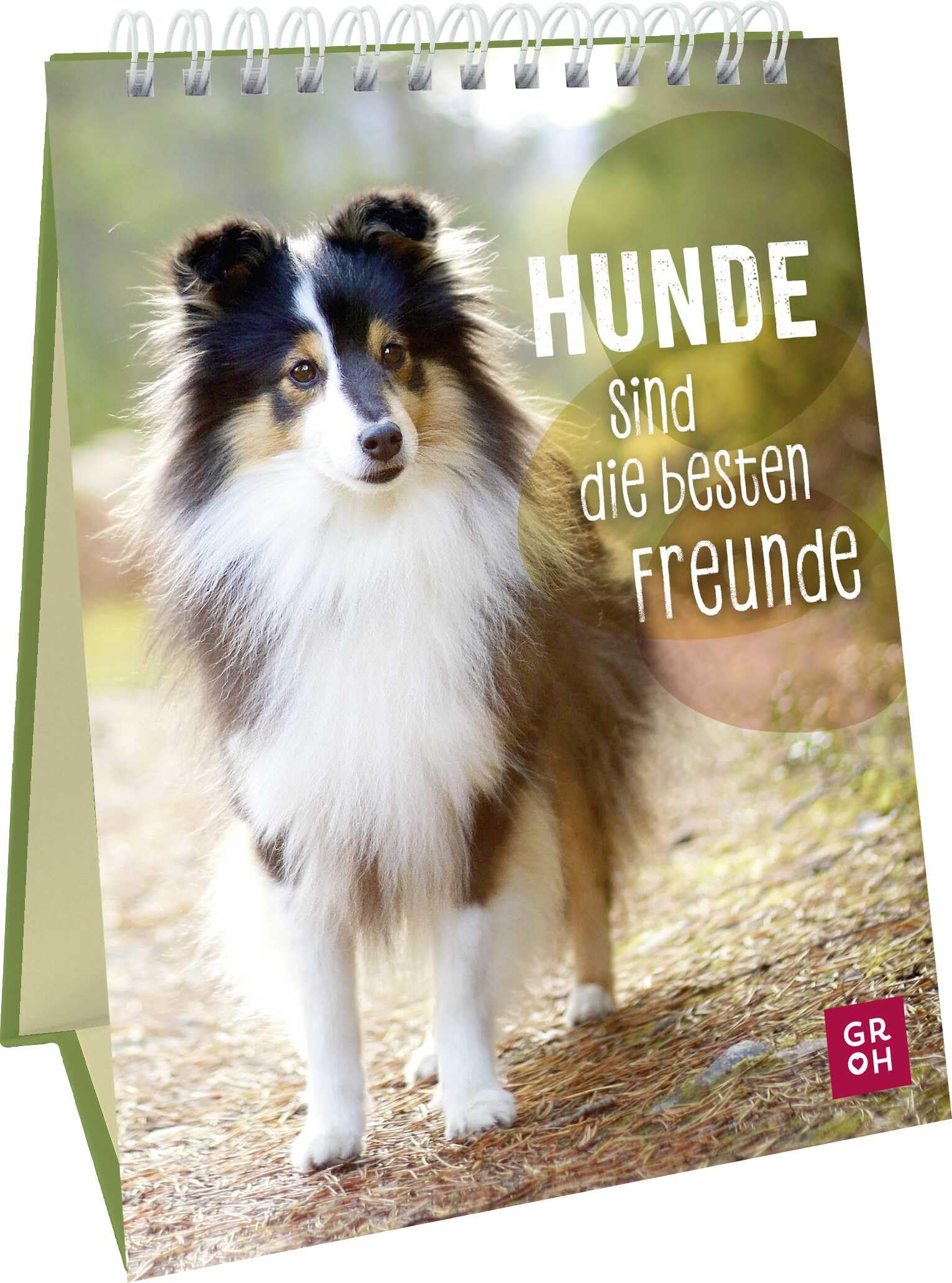 Hunde – Aufstellbuch mit zauberhaften Hundefotos und Sprüchen – Hochformat, 48 Seiten