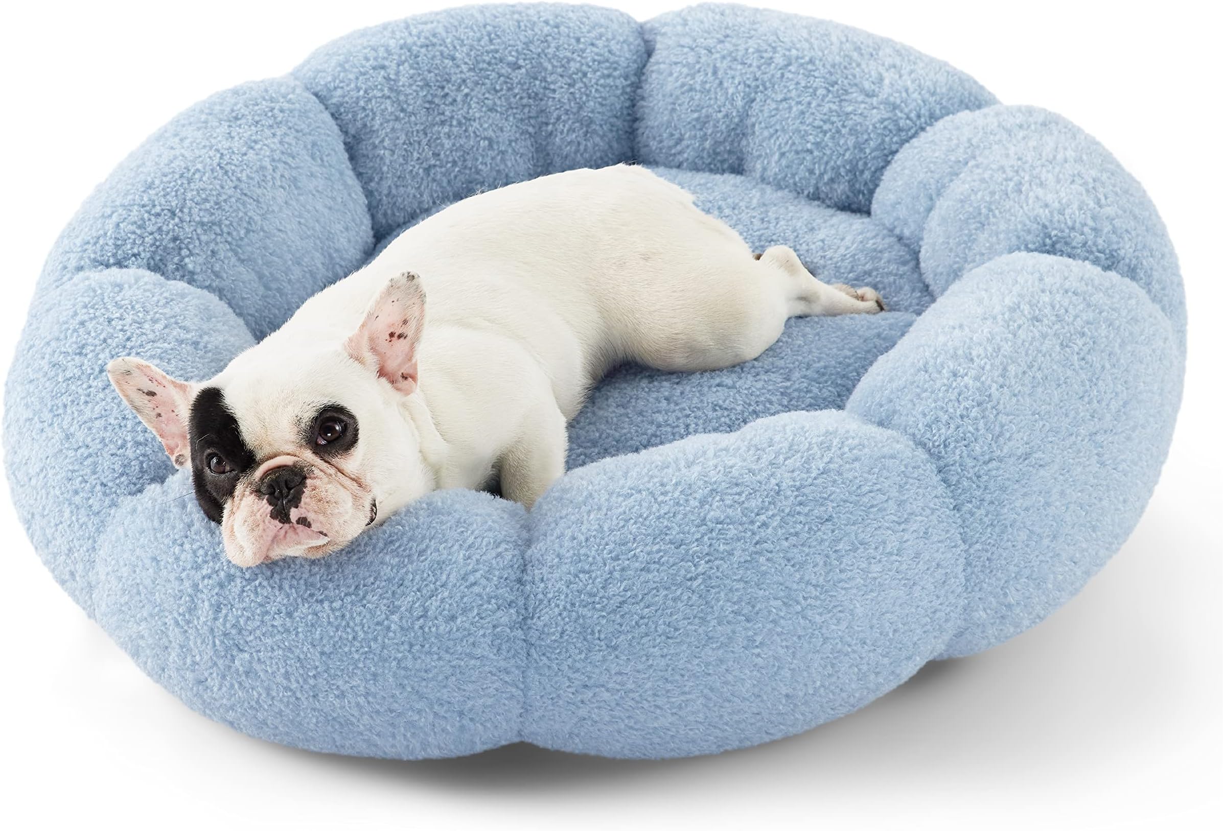 Lesure Calming Medium Dog Bed - Flower Donut Round Fluffy Puppy Bed in Plush Teddy Sherpa, Non-Slip Cute Flower Cat Beds for Indoor Cats, Medium Pet Bed Fits up to 45 lbs, Machine Washable, Blue 30"