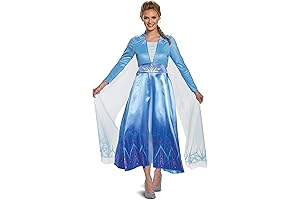 Women's Disney Elsa Frozen 2 Deluxe Adult Costume