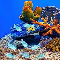 Vista 7 de 50 figuras en miniatura de ballena, mini esculturas de animales de peces falsos de resina con temática de océano azul, decoración del hogar