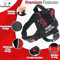 Vista 58 de Personalized No Pull Dog Harness with Custom Name and Phone Number by PawPawify, Heavy Duty Pet Vest to Prevent Tugging, Pulling, or Choking, Blue