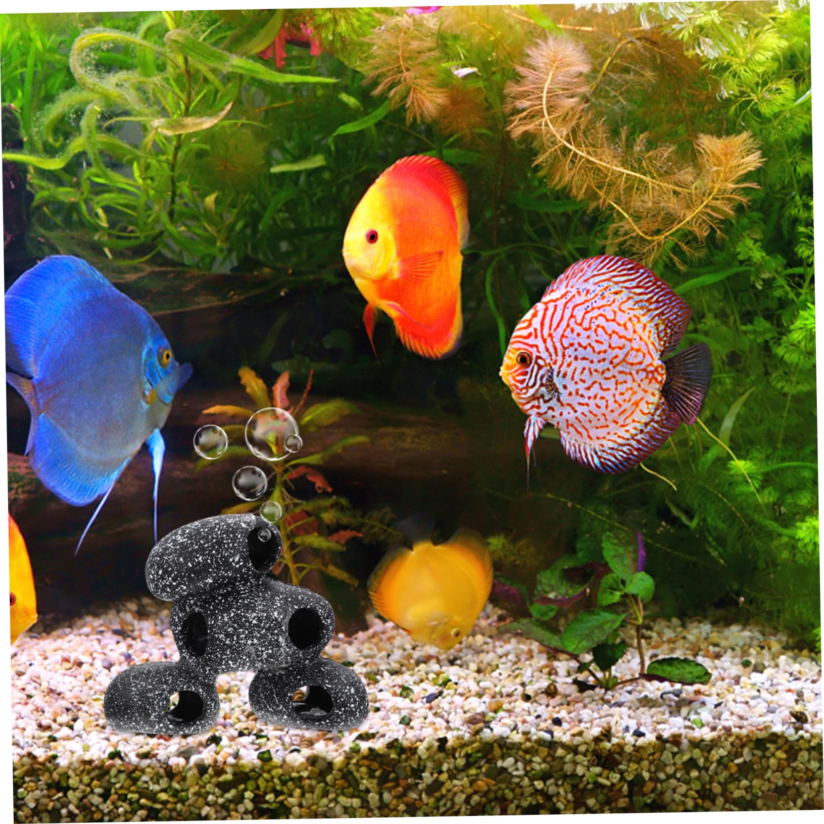 FRCOLOR Cachette de poisson - Cachette pour crevettes à poissons - Grotte pour poissons - Ornement d'aquarium - Grotte pour le frai de poissons - Pierre artificielle - Résine - Maison pour poissons et