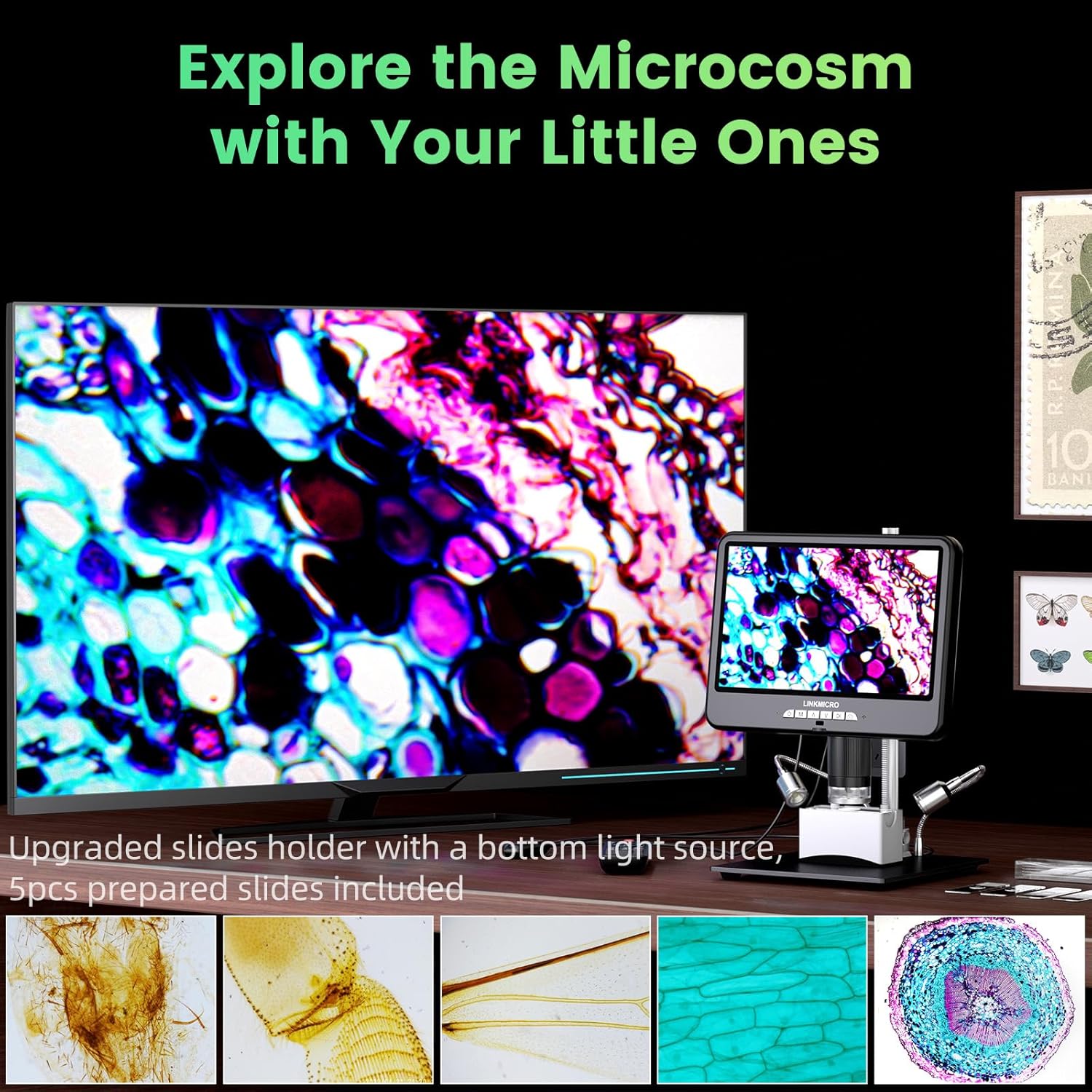 Microscope displaying a magnified plant cell structure, with various prepared slides shown below.