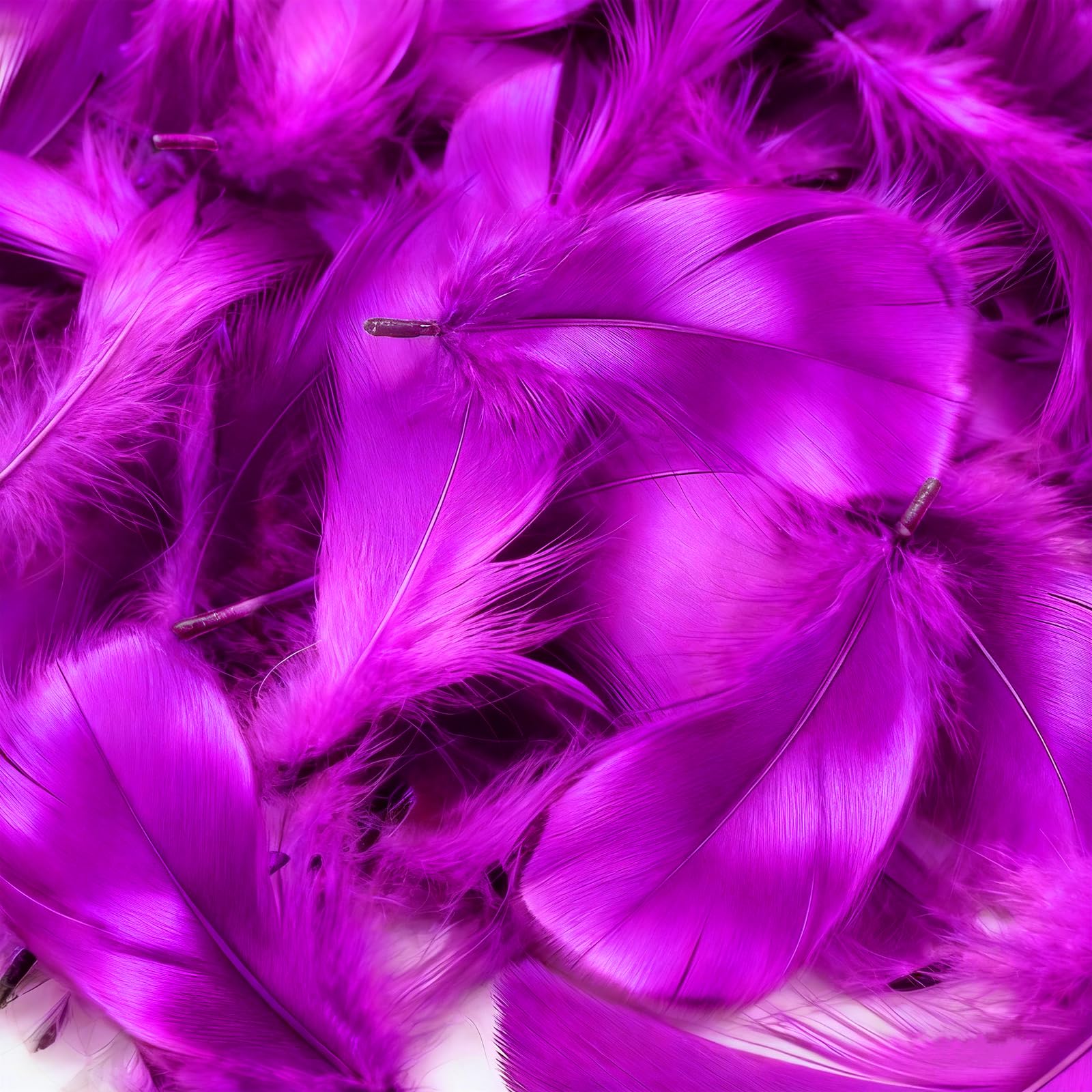 Mbsomnus 600 Pcs Feathers for Crafting Fuchsia Feathers Natural Craft Feathers 5-12 cm Feathers for DIY Crafts Dream Catcher Earrings Headdress Hats Feather Flowers Wedding Party Holiday Decoration