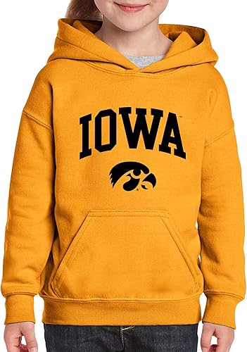 Miniatura 4 de NCAA Arch Logo, color del equipo, sudadera con capucha juvenil, universidad