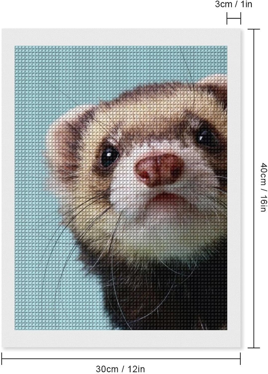 Ferrets Diamond Art Painting Kits Full Square Drill DIY Picture Art Crafts for Home Wall Decor