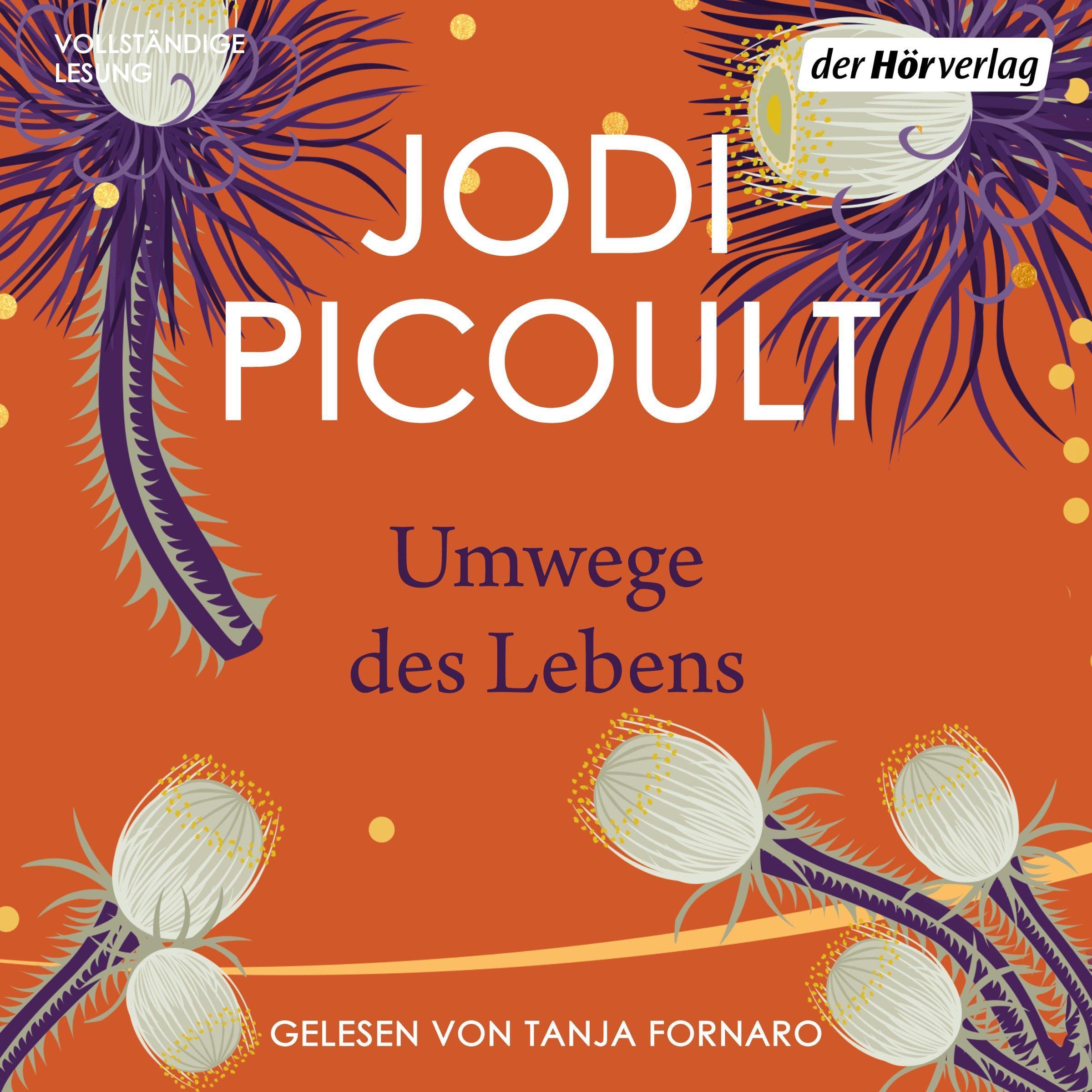 Cover art for Umwege des Lebens