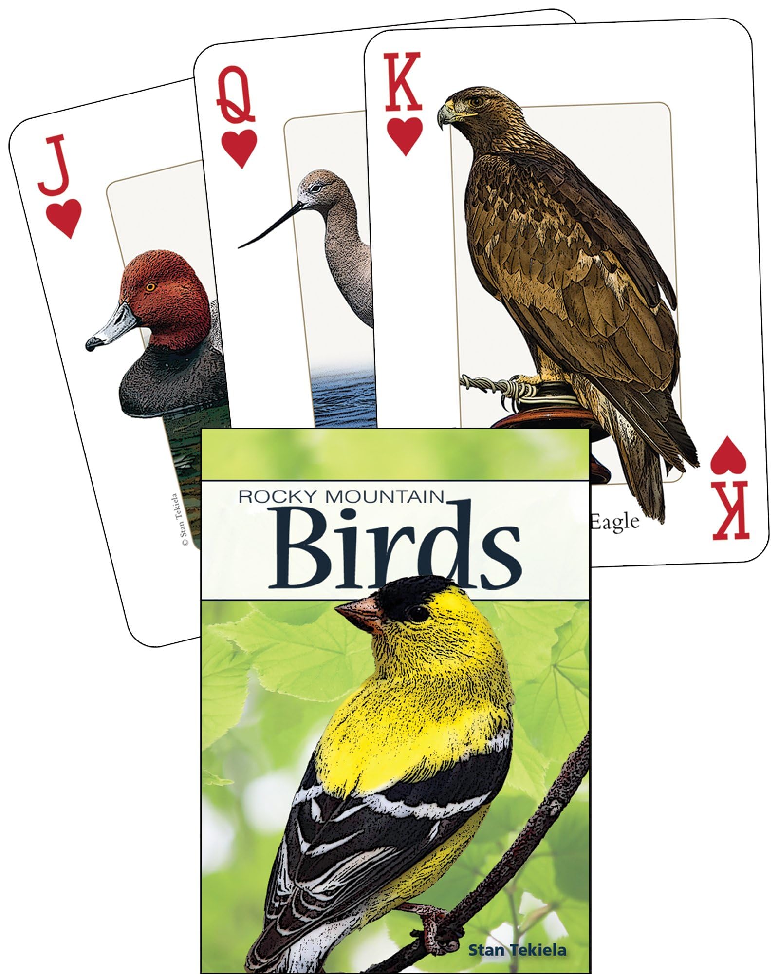 Birds of the Rocky Mountains Playing Cards (Nature's Wild Cards)