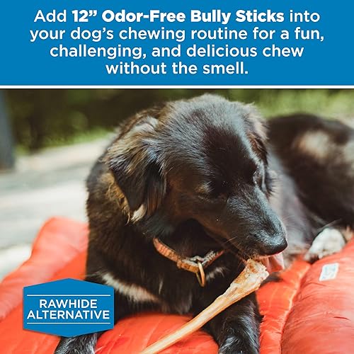 Miniatura 6 de Best Bully Sticks Palitos de carne de res natural alimentada con pasto de 12 pulgadas, sin olor, para perros 12 unidades (paquete de 1) Razas