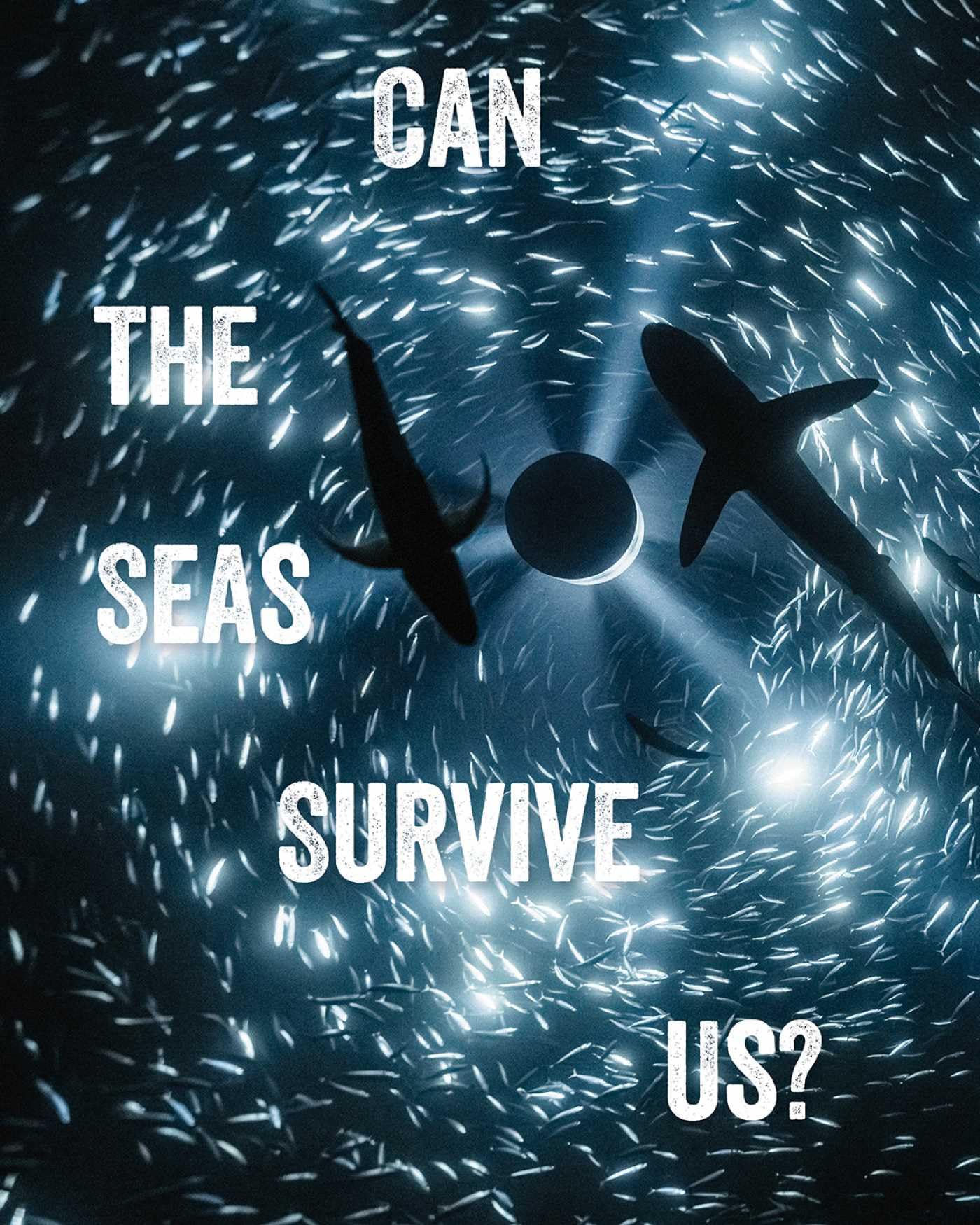 Can the Seas Survive Us by John Kenneth Paranada PAPERBACK 9781836360049