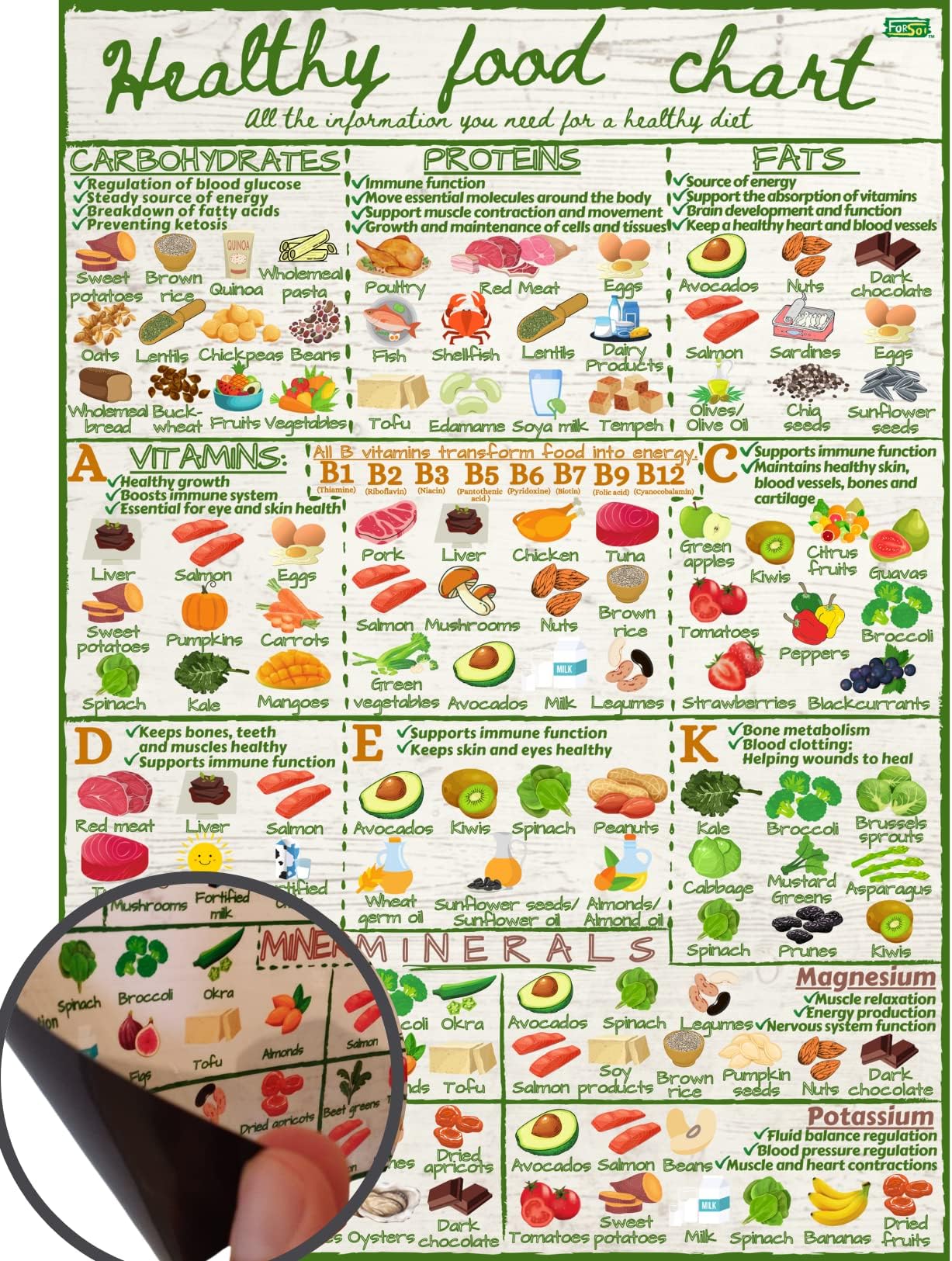 Healthy Food Chart Guide - Informative Nutrition Vitamins Minerals Magnetic Fridge Chart - Stylish Colourful Water Resistant Kitchen Guide Magnet