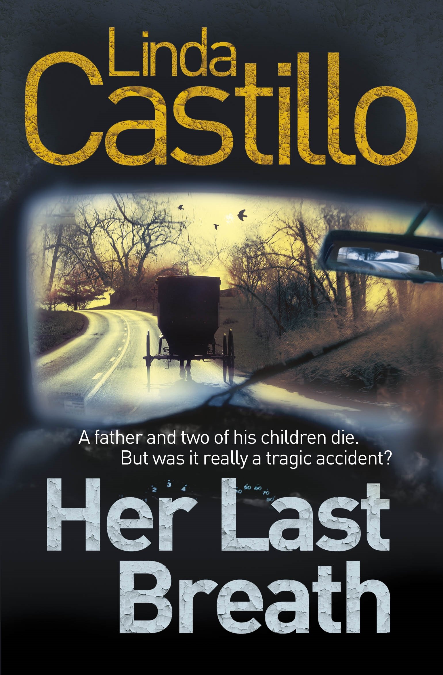 Her Last Breath (Kate Burkholder series, 5)