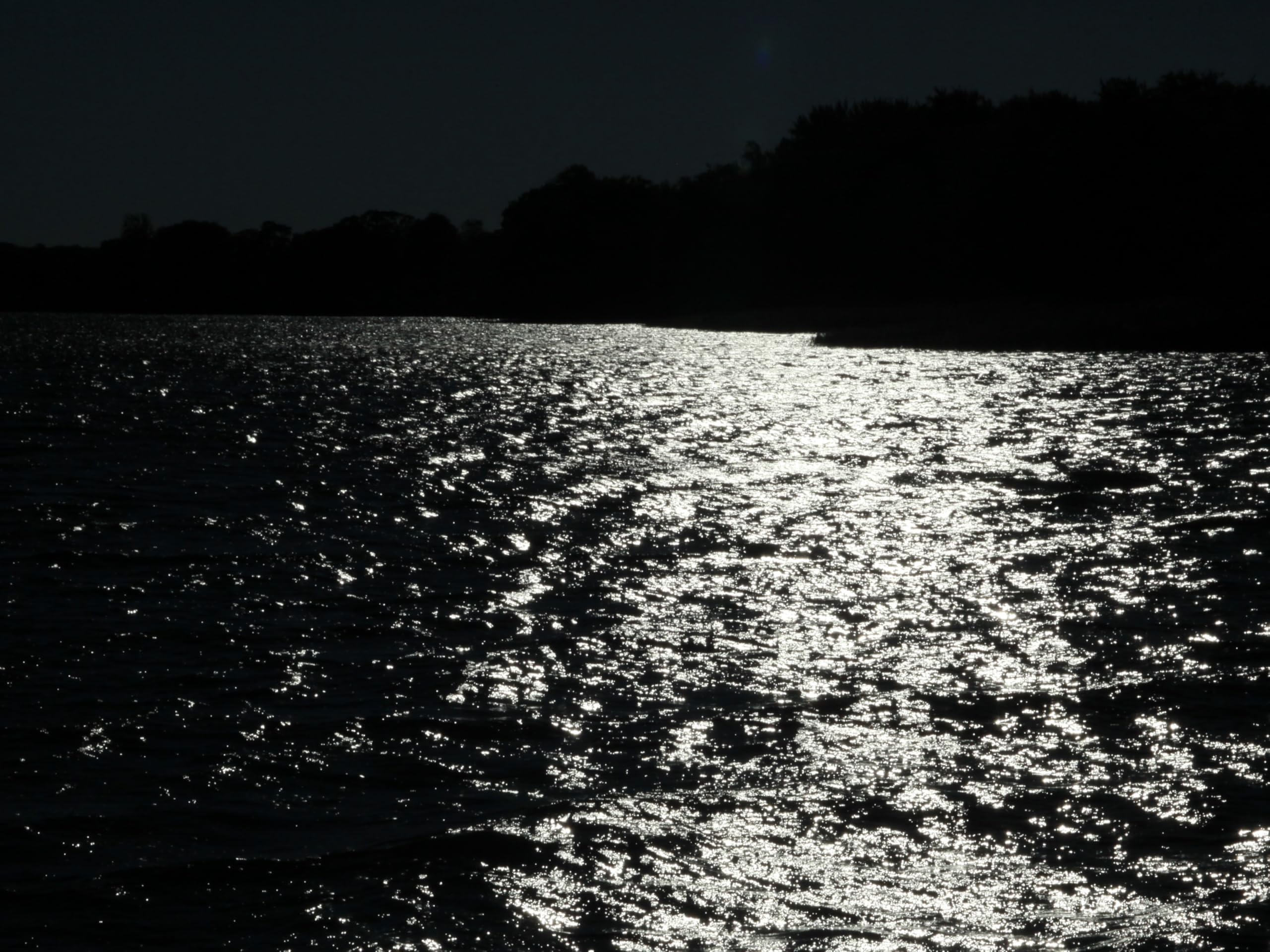 My Beautiful Decay 1973