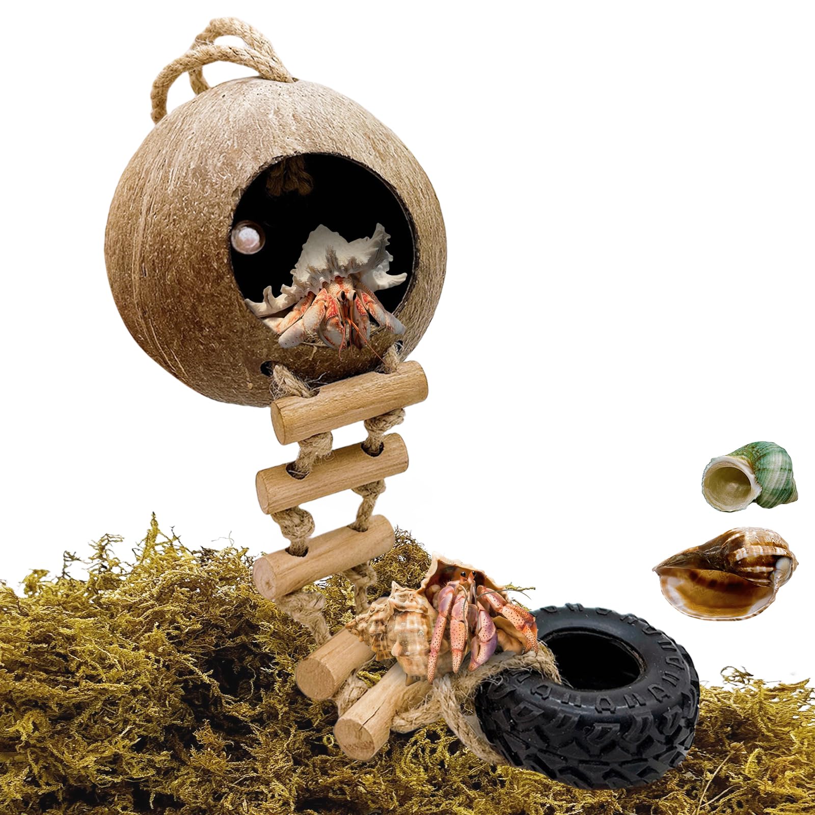 Acsist Hermit Crab Coconut Shell Hideout with Climb Ladder,Leopard Gecko Hide Hut with Moss and Sea Shells,Hermit Crab Climbing Tank Accessories for