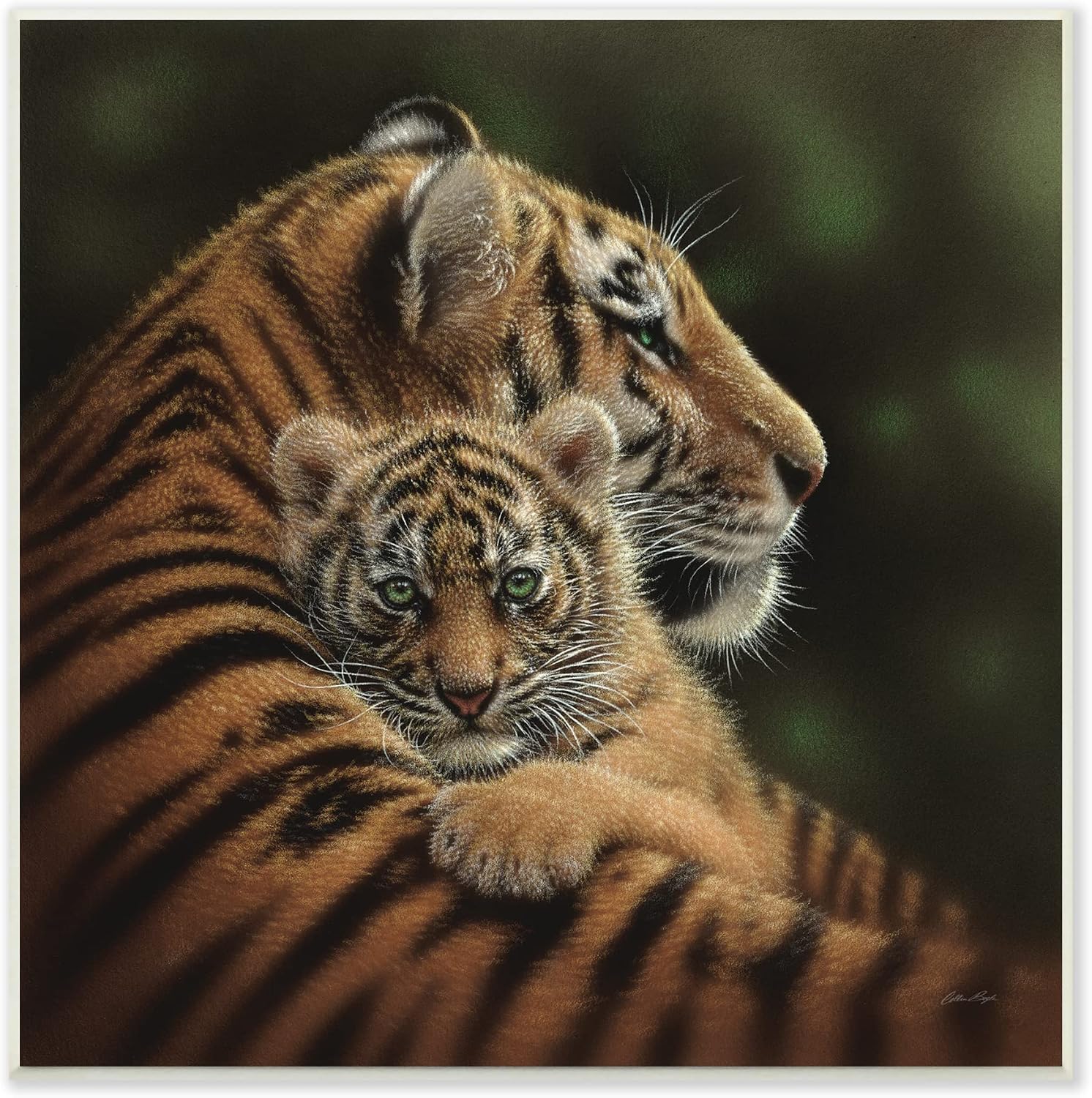 'Adorable Sweet Mom Tiger Holding Baby Cub'| Wall Plaque Art | Stupell Industries | 12 x 12 Inches, Easy to Hang and Sturdy, Made in USA, by Collin Bogle