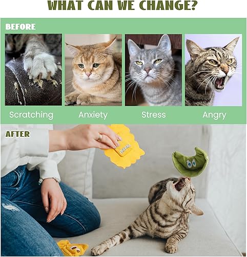 Miniatura 4 de Paquete de 3 juguetes de hierba gatera para gatos de interior, juguetes interactivos para gatos llenos de hierba gatera 100% orgánica, juguetes