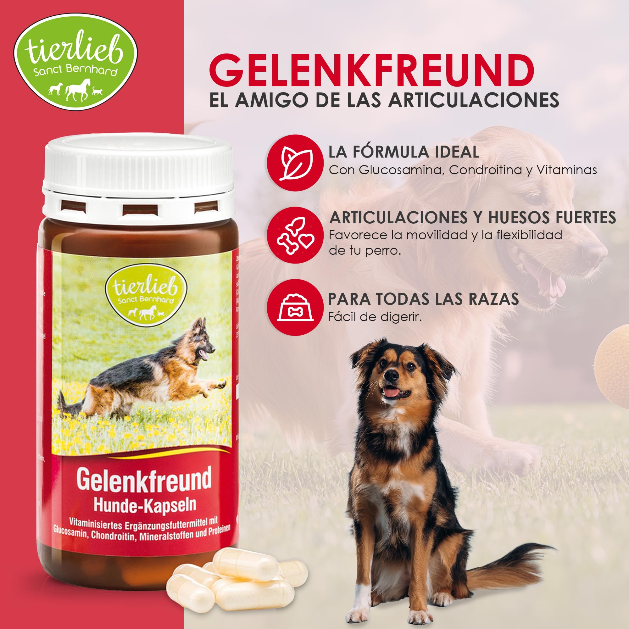 Complemneto para Las articlaciones de los Perros Gelenkfreund - 3x130 Cápsulas - Complemento para Perros, favorece el cartílago y fortalece la Estructura de los Huesos - Sanct Bernhard - Cebanatural