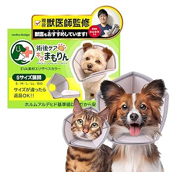 獣医器具　エリザベスカラ－各種23枚 獣医器具 エリザベスカラ－各種23枚 楽天市場】エリザベスカラー