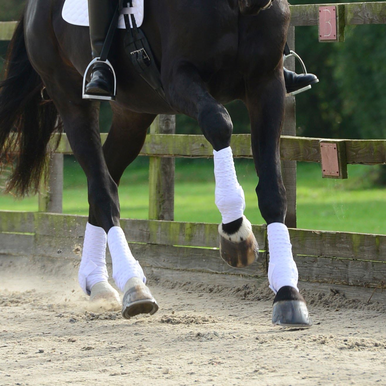 Equilibrium Stretch & Flex Training Wrap Choose Size - Black or White